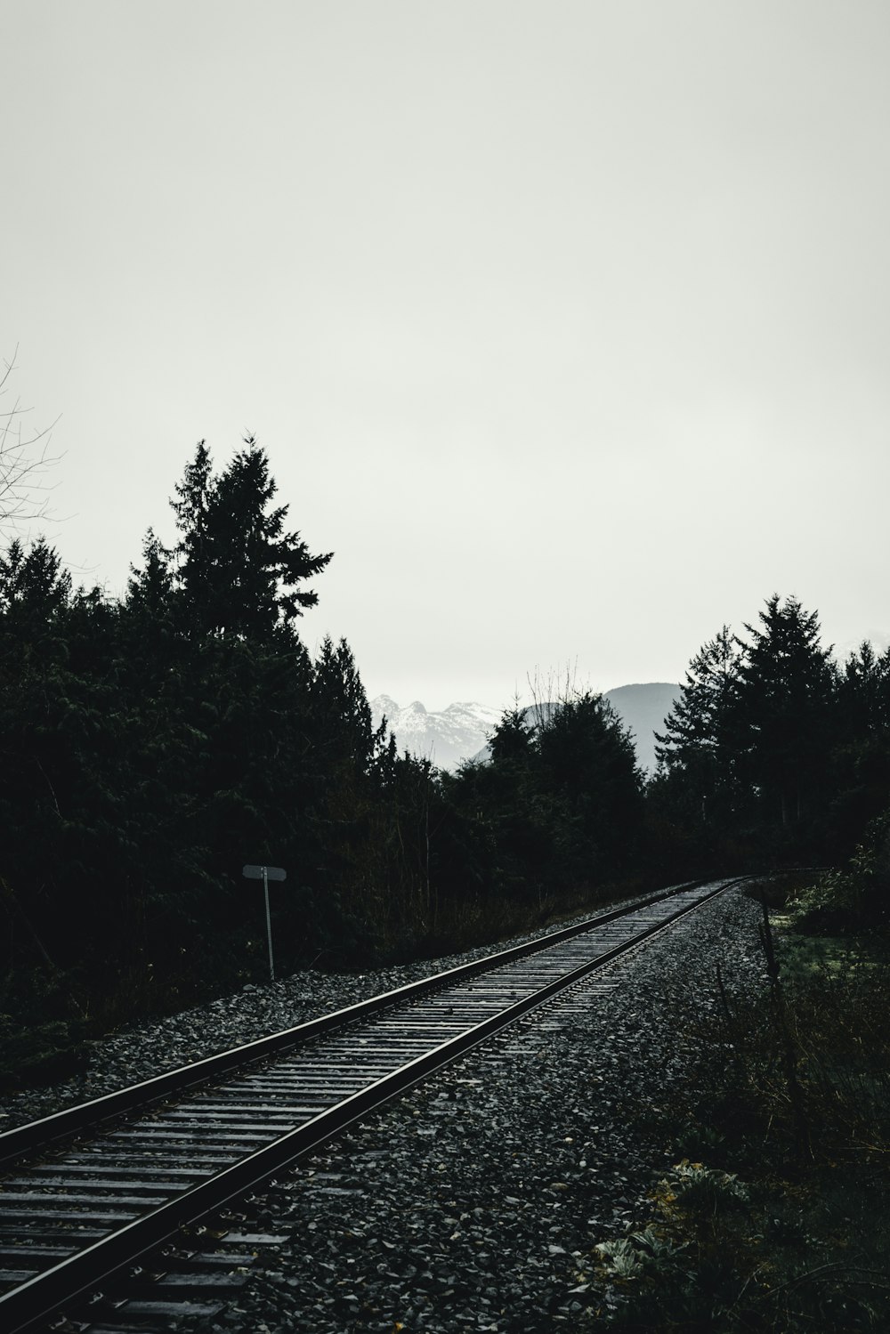 Una foto en blanco y negro de una vía de tren