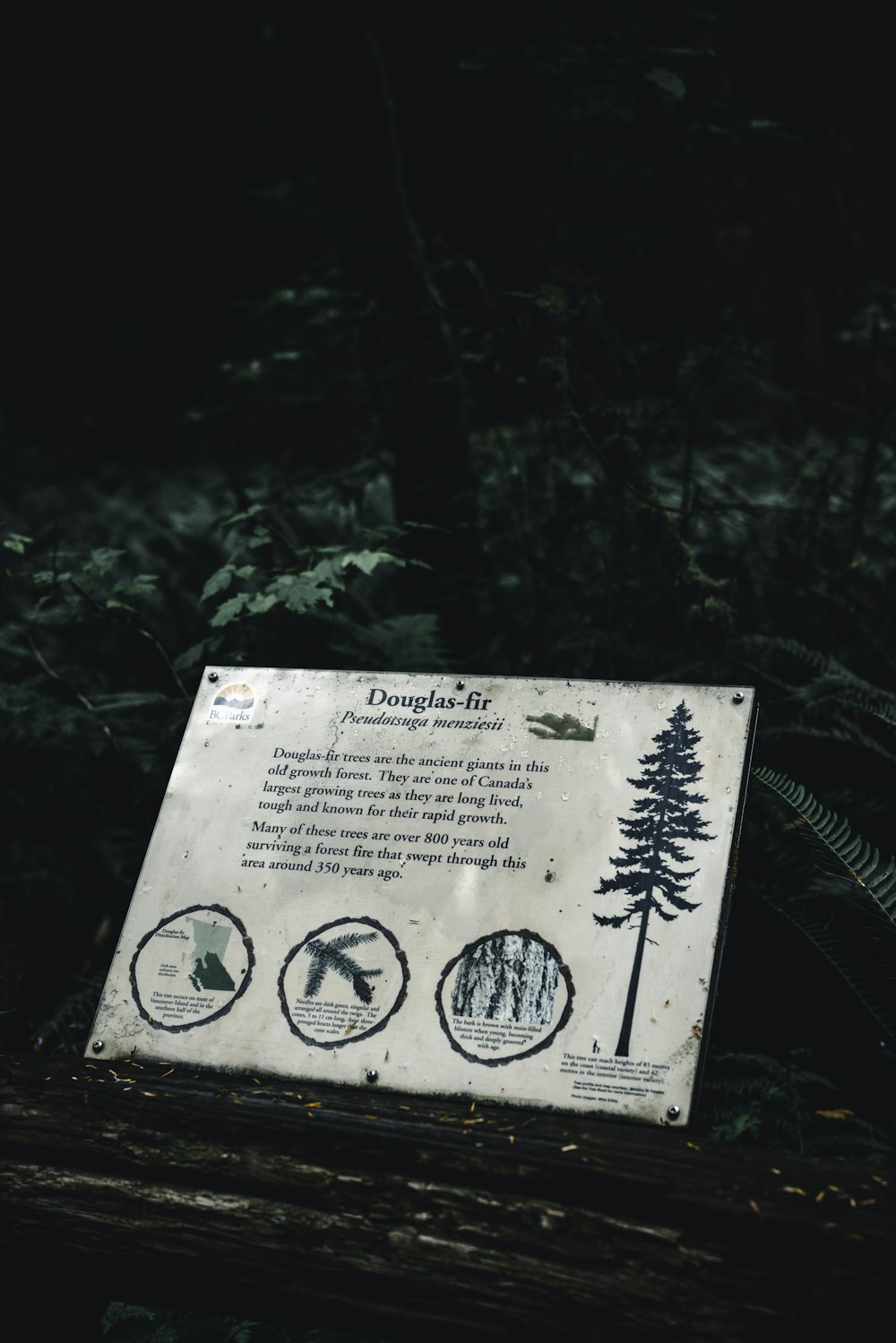 a sign on a log in the woods