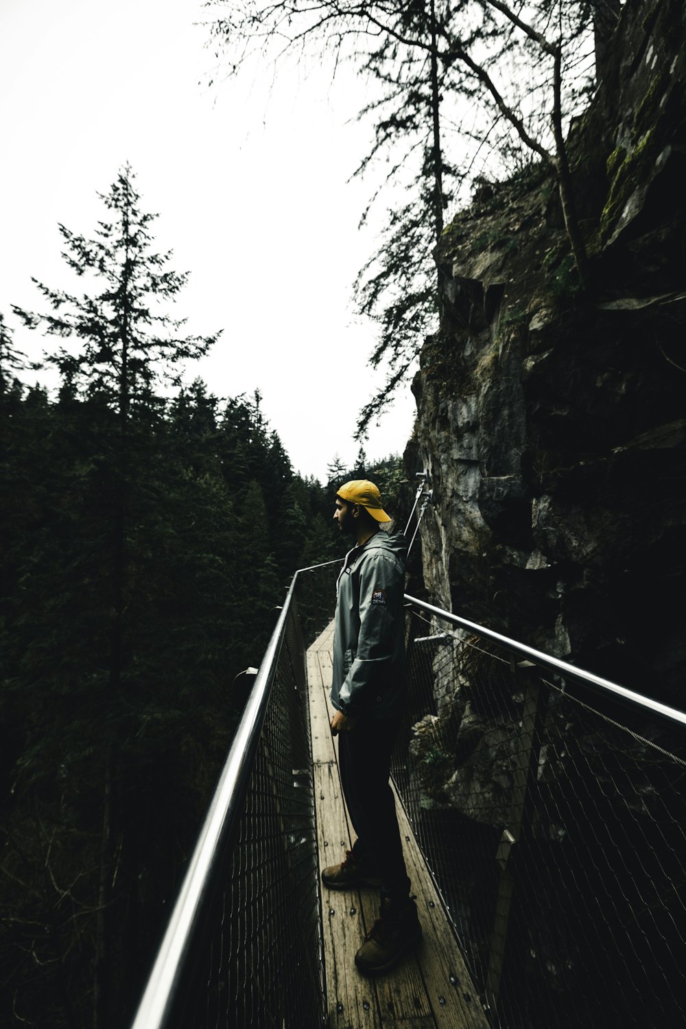 a man standing on a suspension bridge in the woods