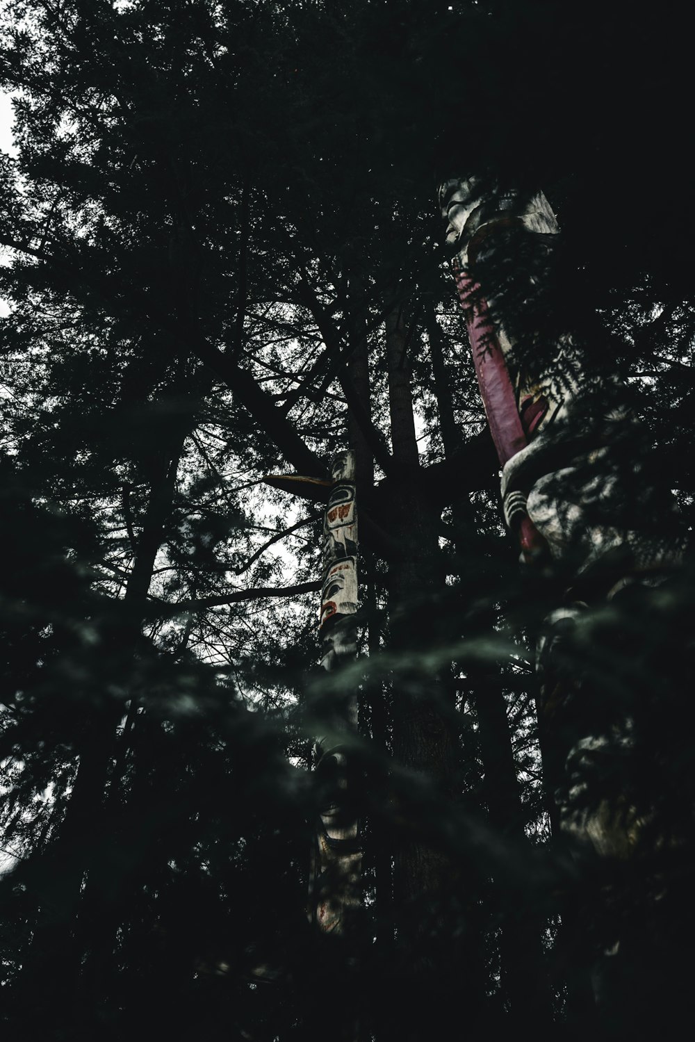 eine Gruppe von Menschen, die kopfüber in einem Wald hängen