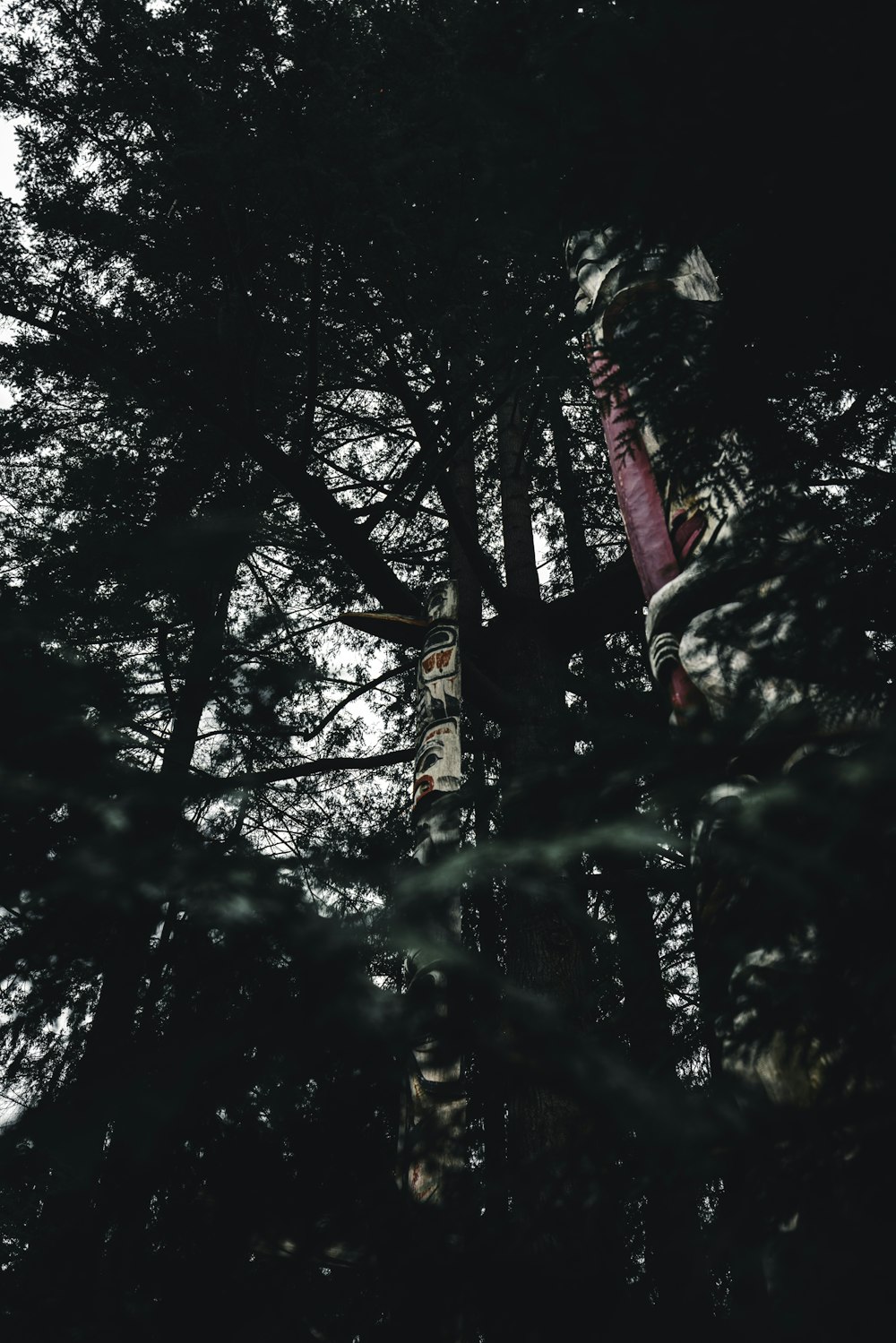 a group of people hanging upside down in a forest