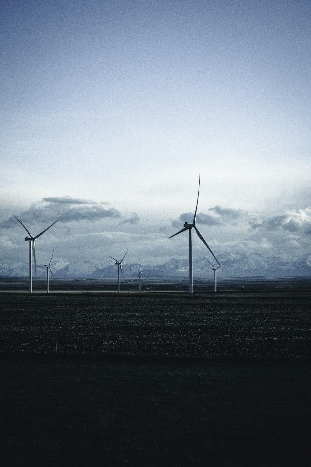 a row of wind turbines in a field