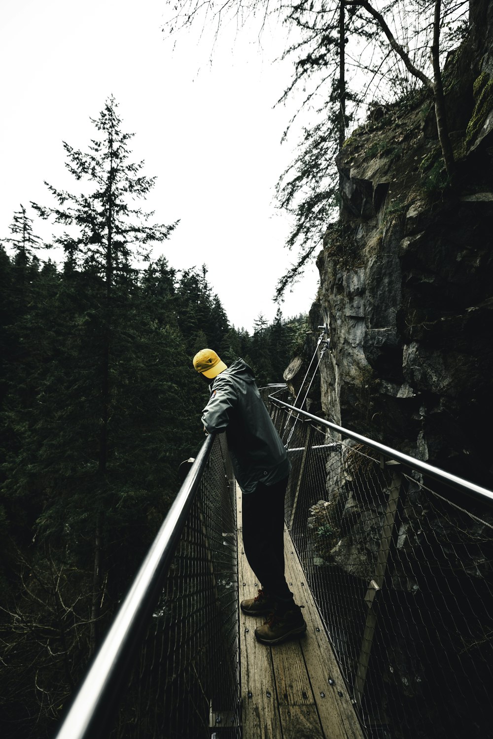 a man standing on a suspension bridge over a forest