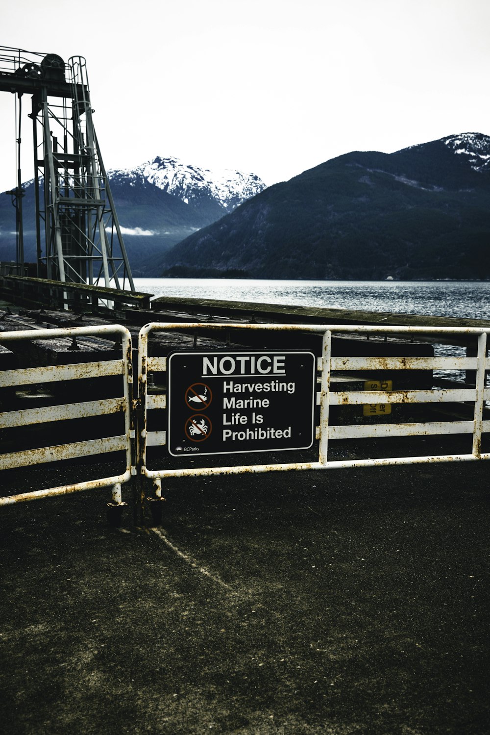 a warning sign on a fence near a body of water