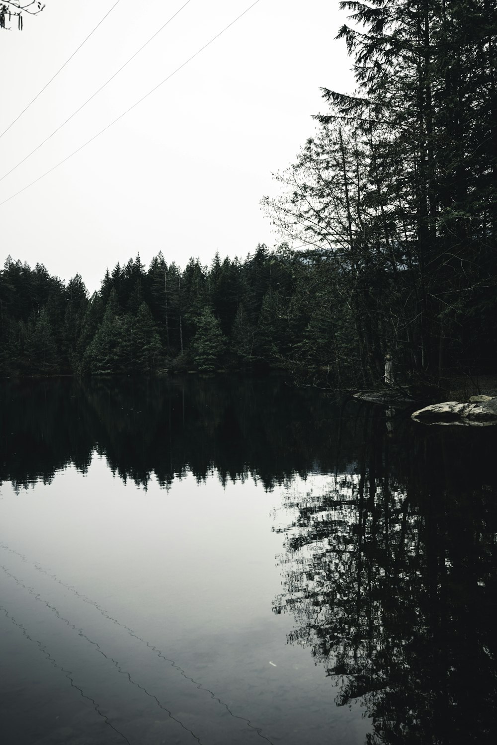 a body of water surrounded by trees and power lines