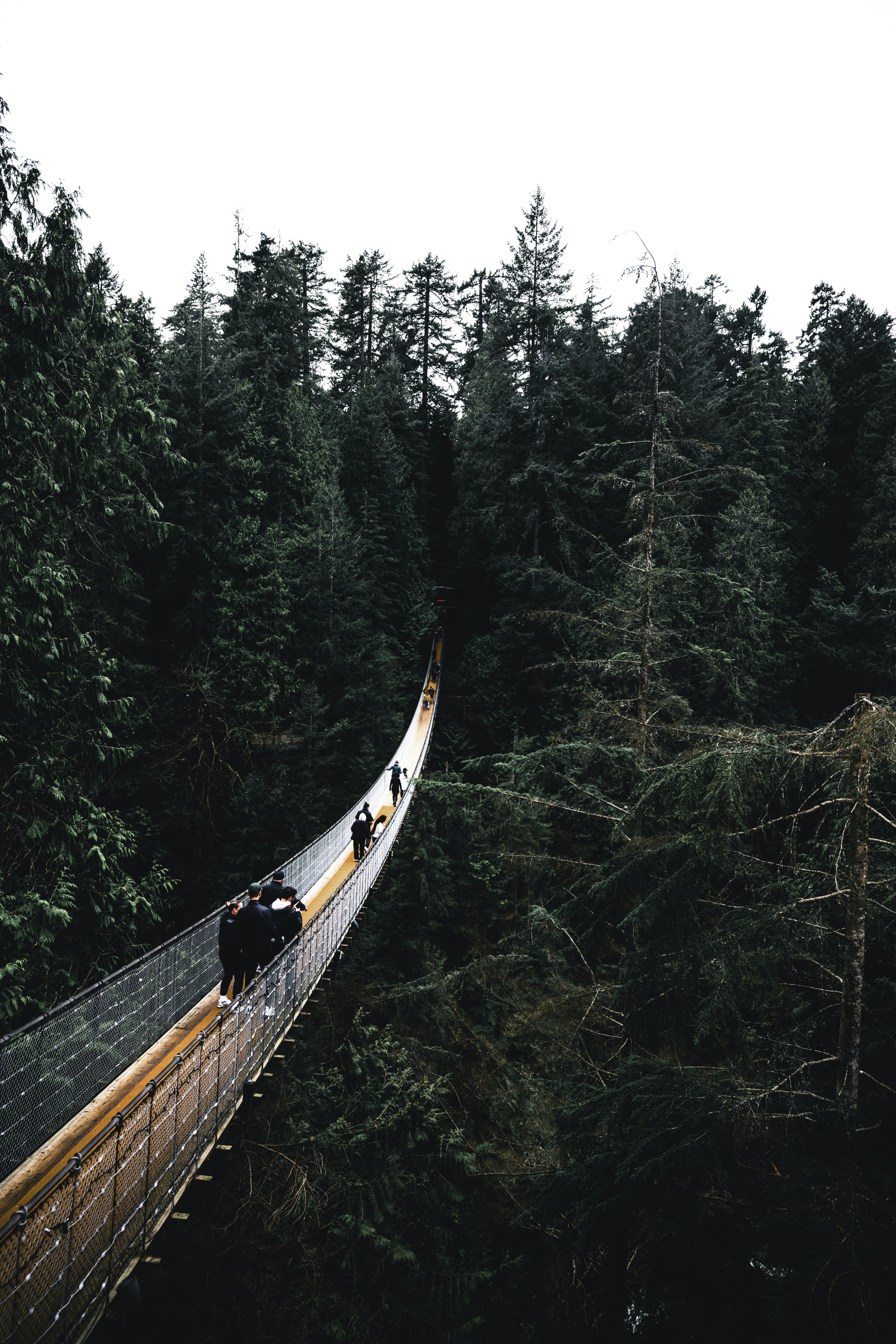 Photo by lureofadventure