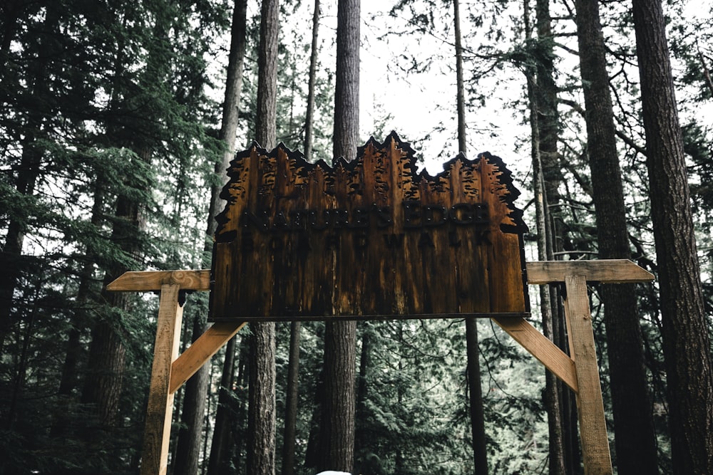 a wooden structure in the middle of a forest
