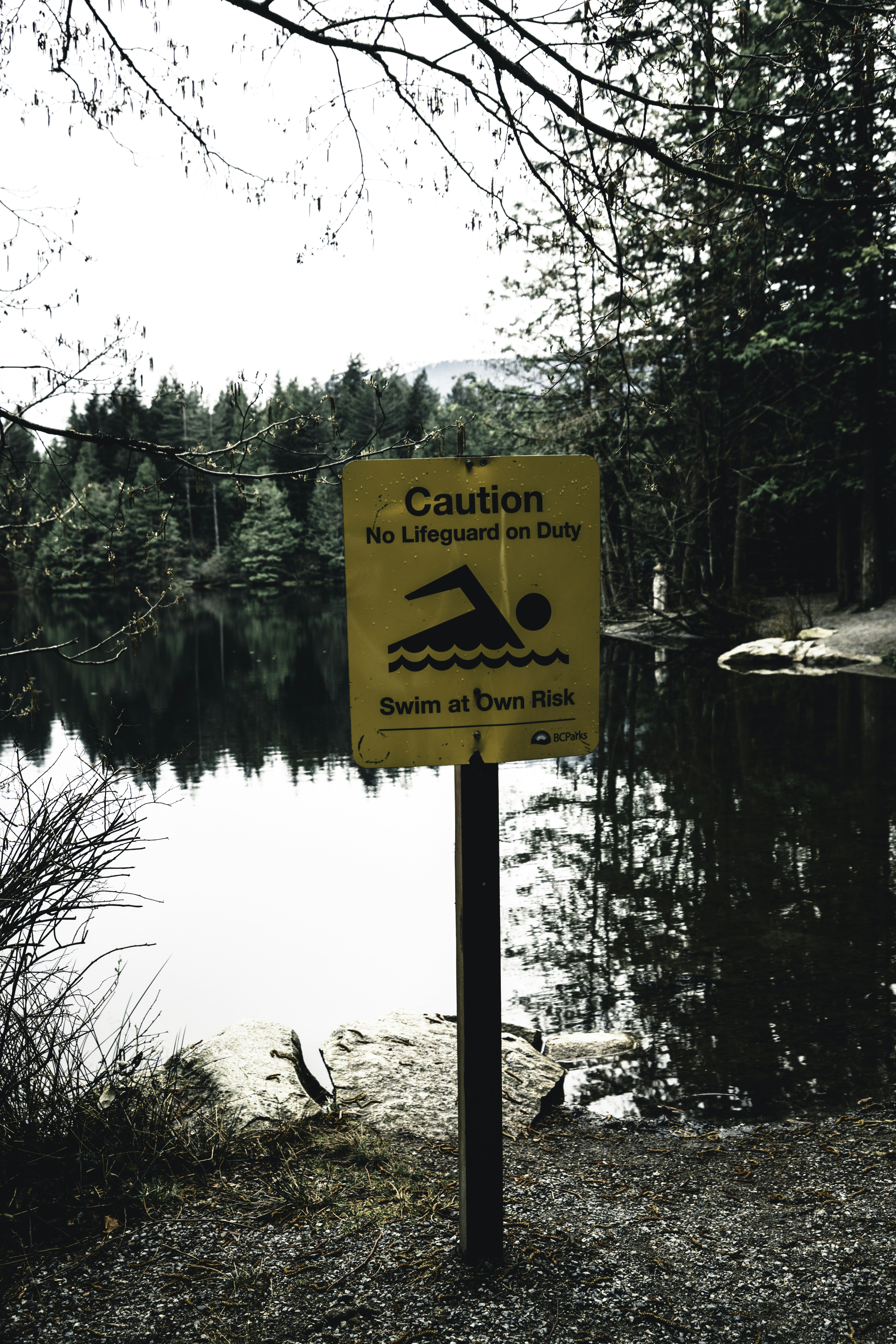 8 Family Camping Guides for Campsites Near Water Sources