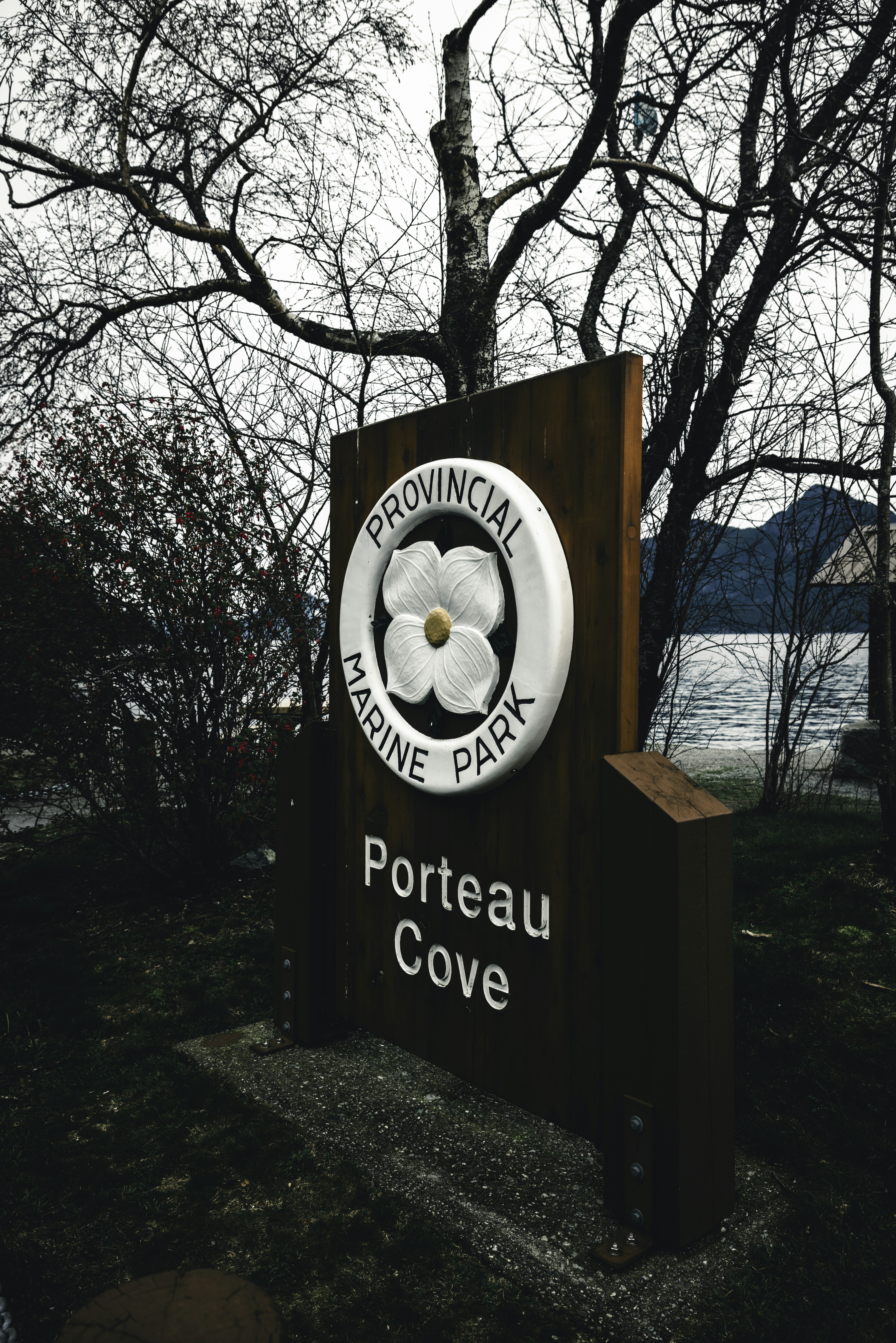 A sign for portreau cove in front of a tree photo – Free Canada Image ...