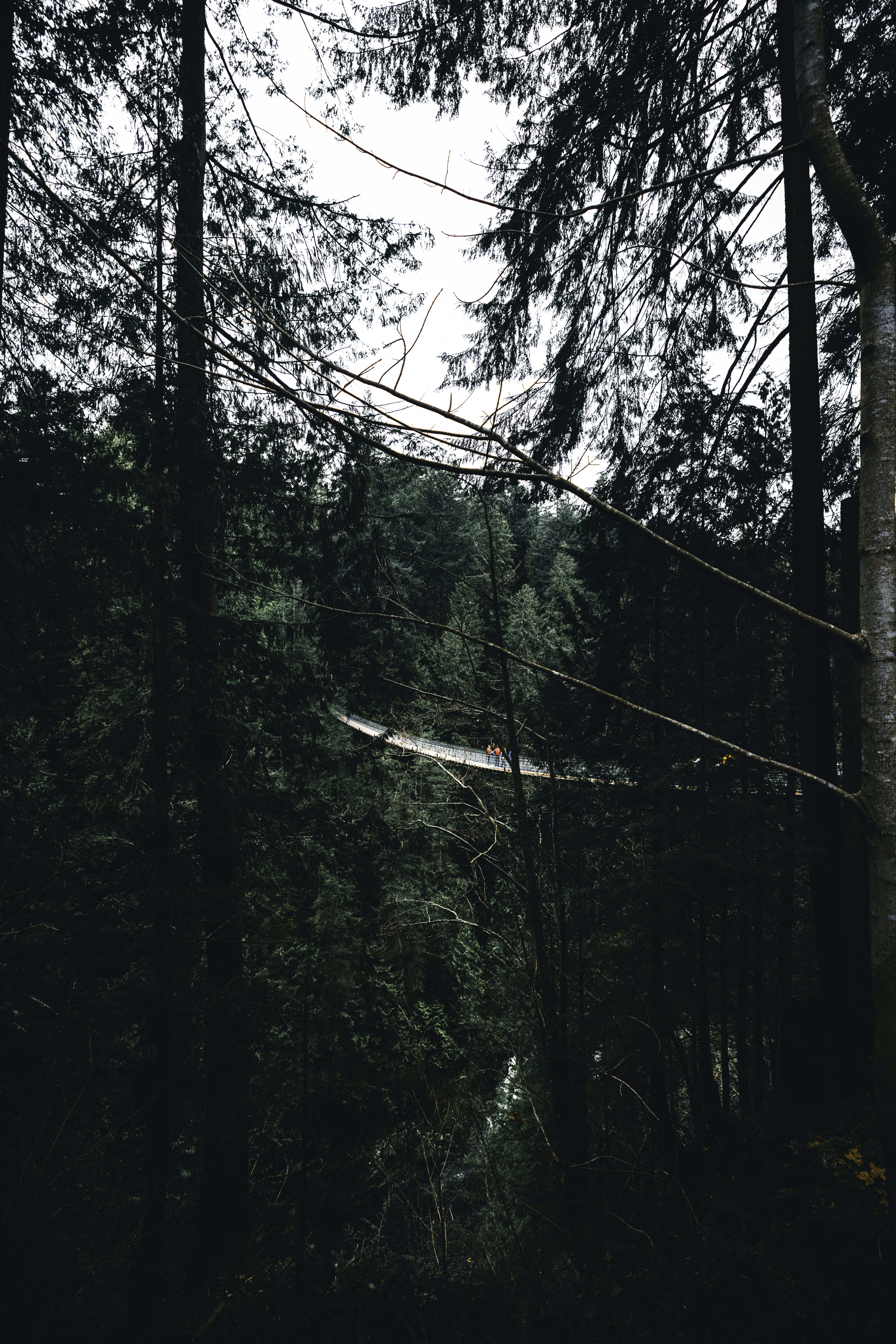 Photo by lureofadventure