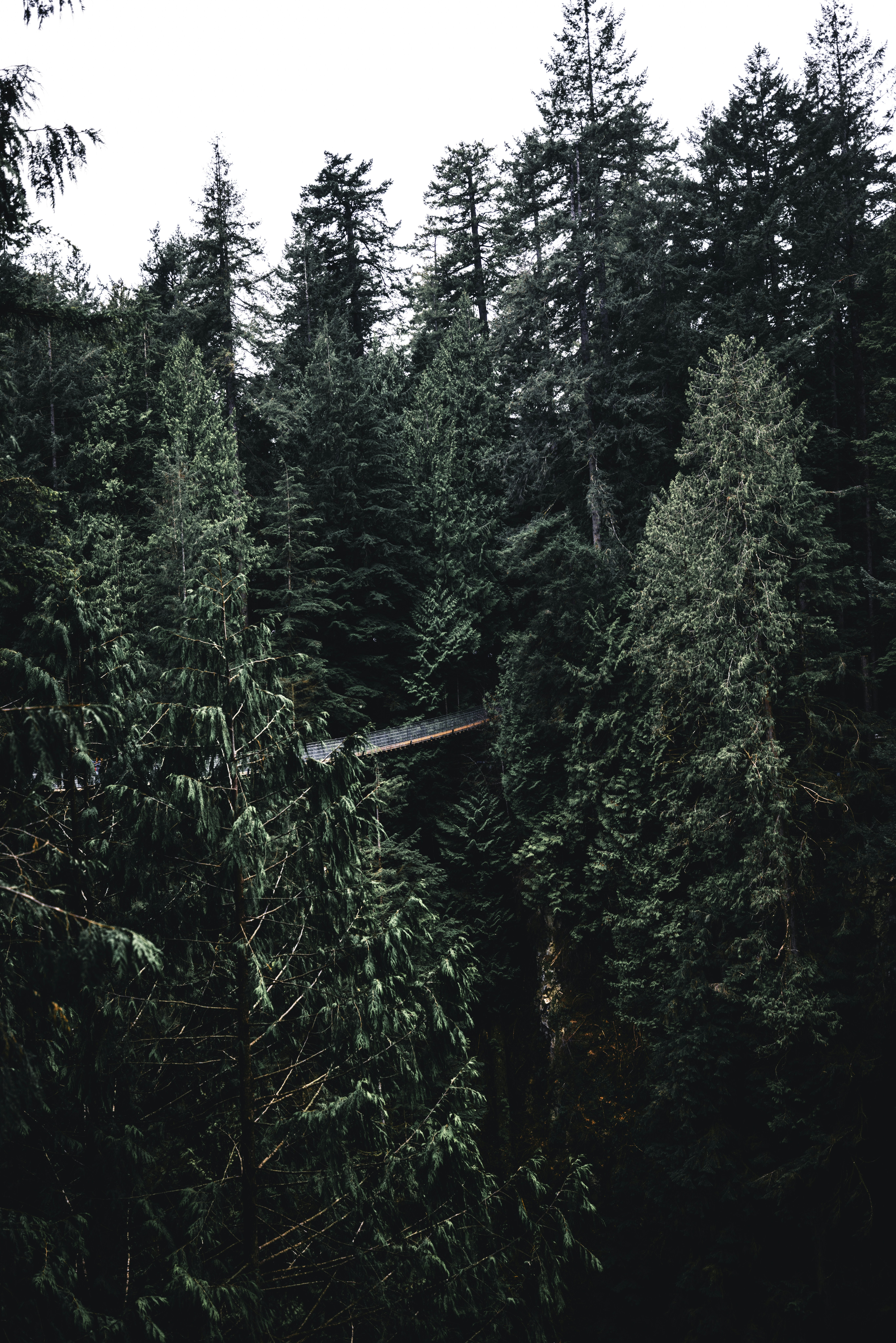 Photo by lureofadventure