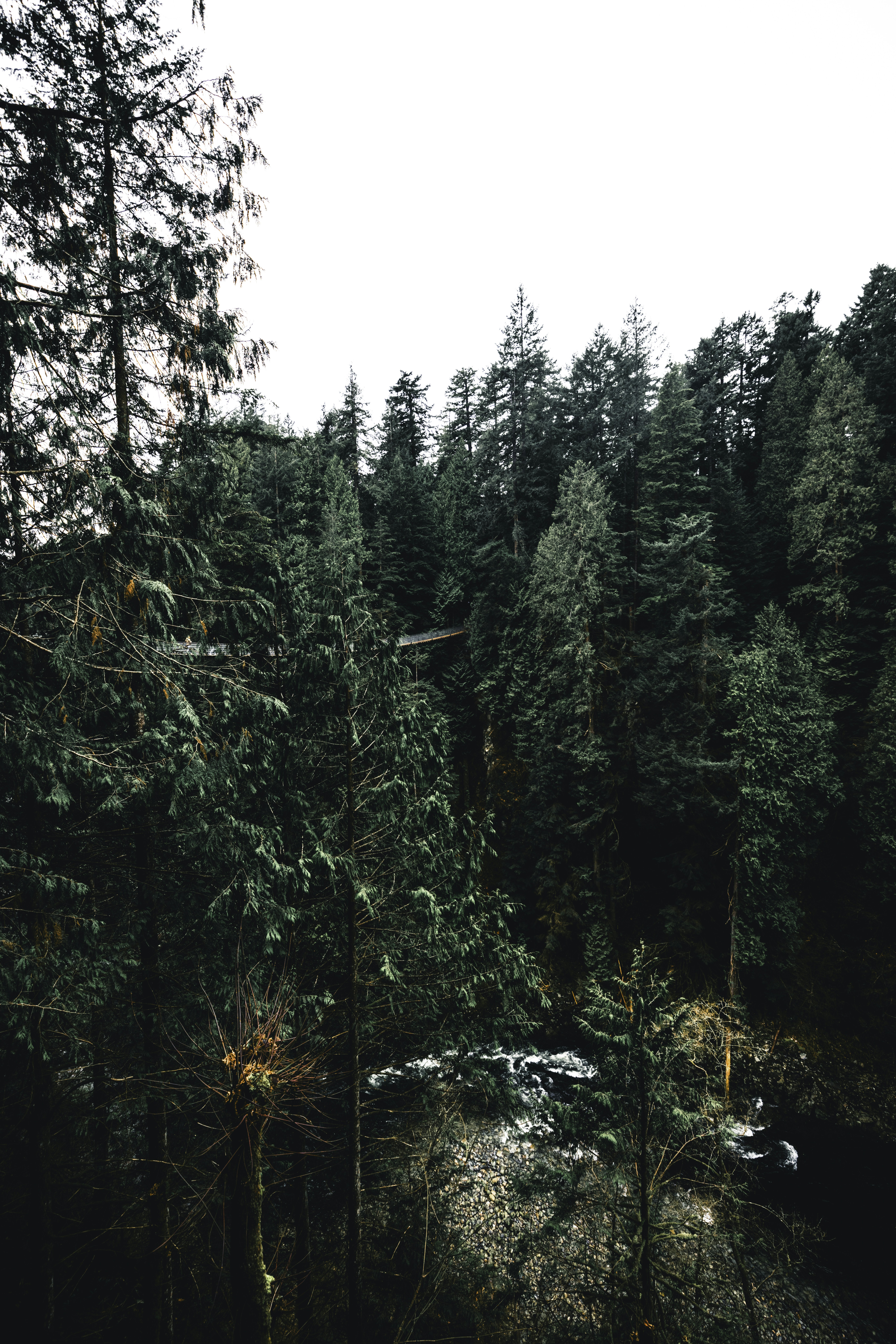 Photo by lureofadventure