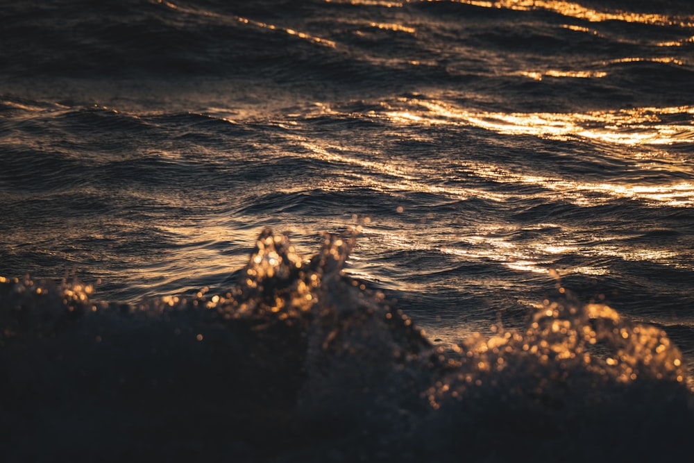 a close up of a wave in the ocean