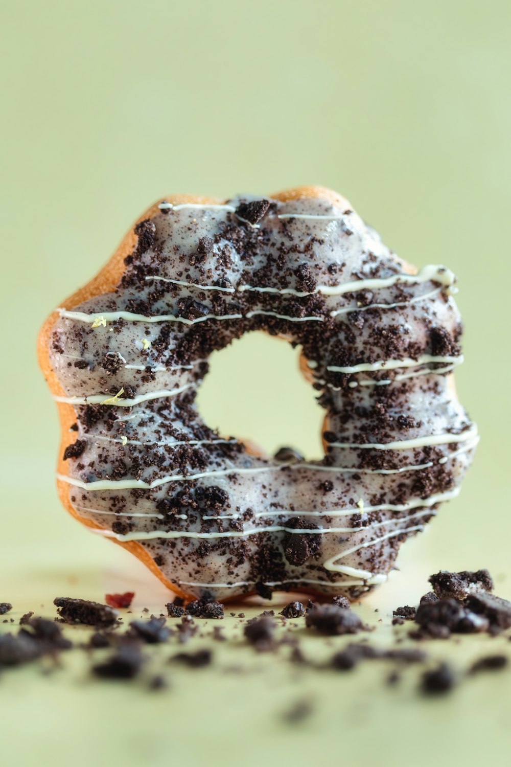 a chocolate donut with icing and chocolate chips
