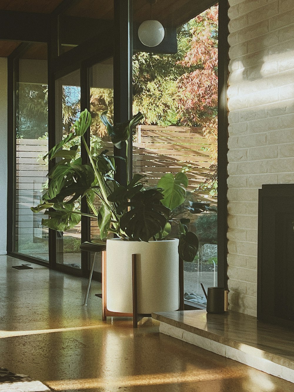 a living room with a fire place and a plant