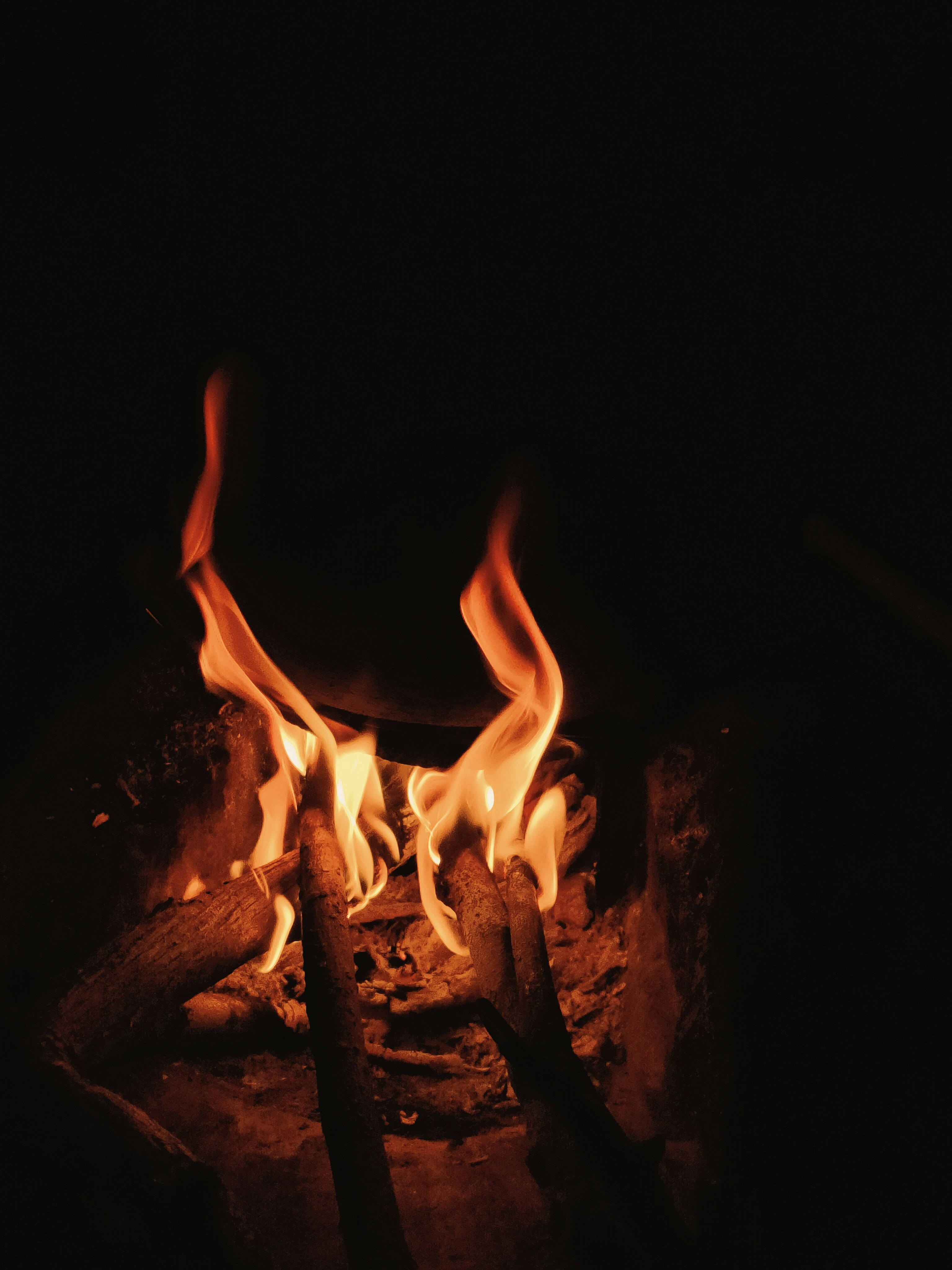 Photo by joju__johnson