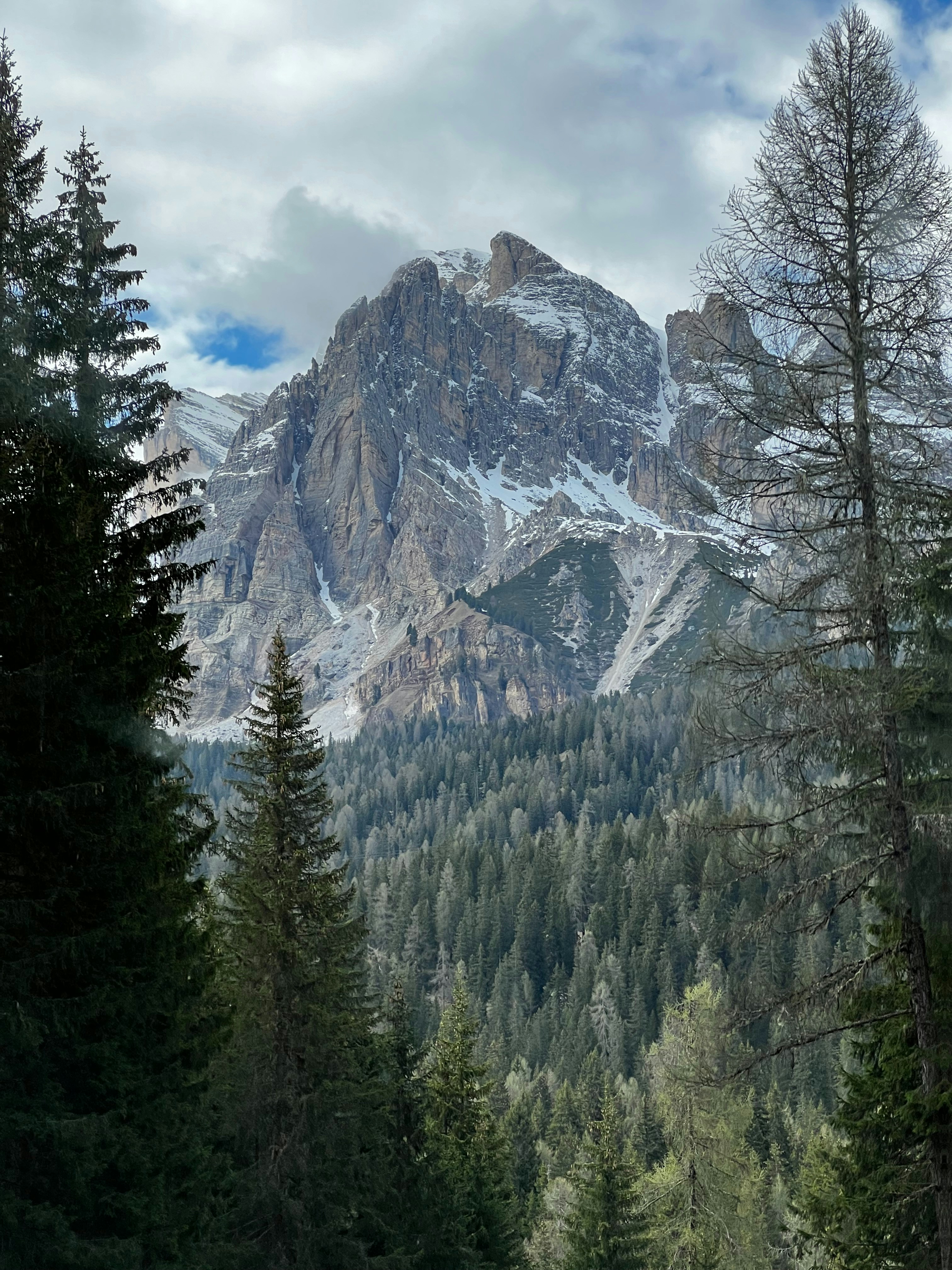 Photo by agnerhochuli