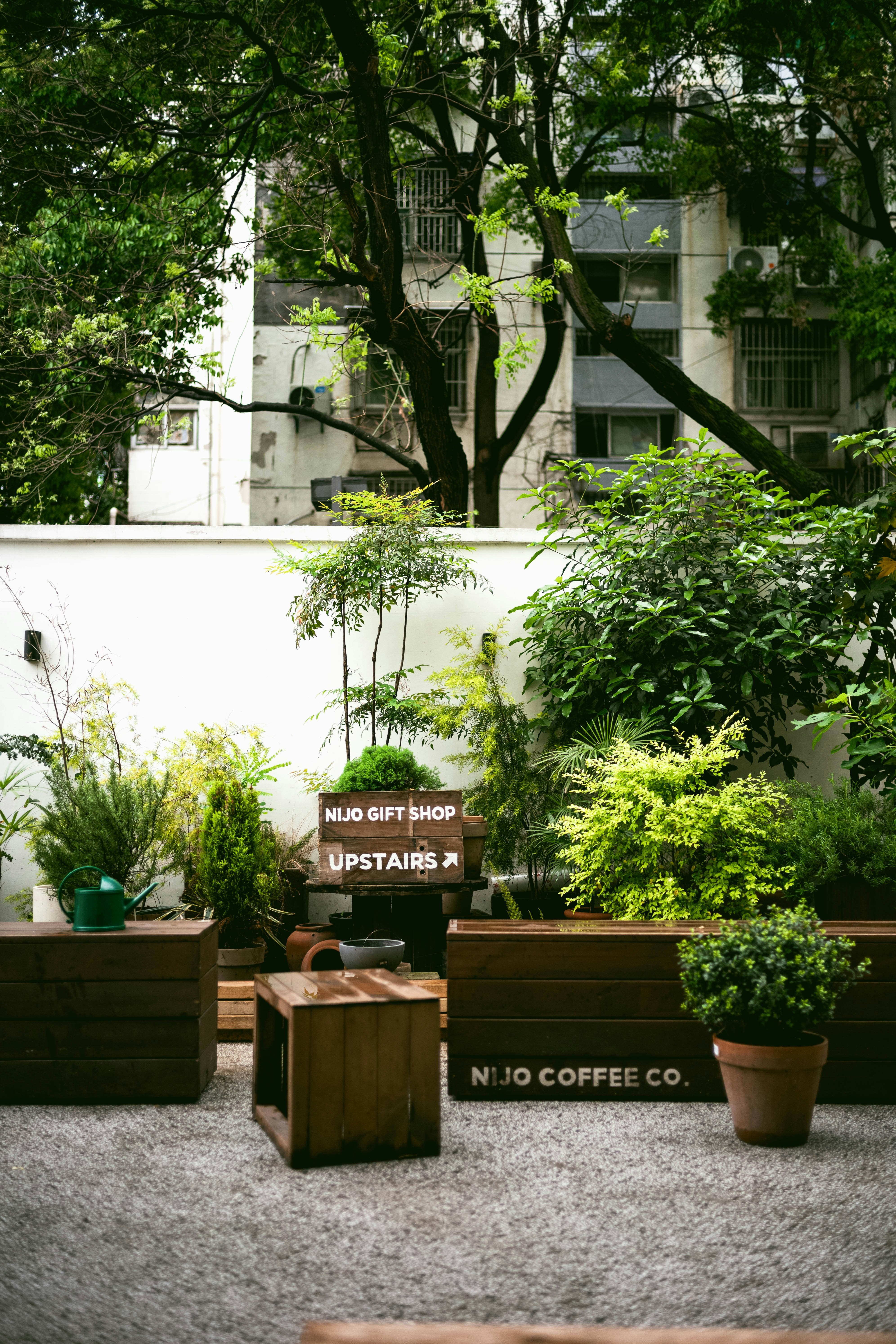 Photo by tommaomaoer