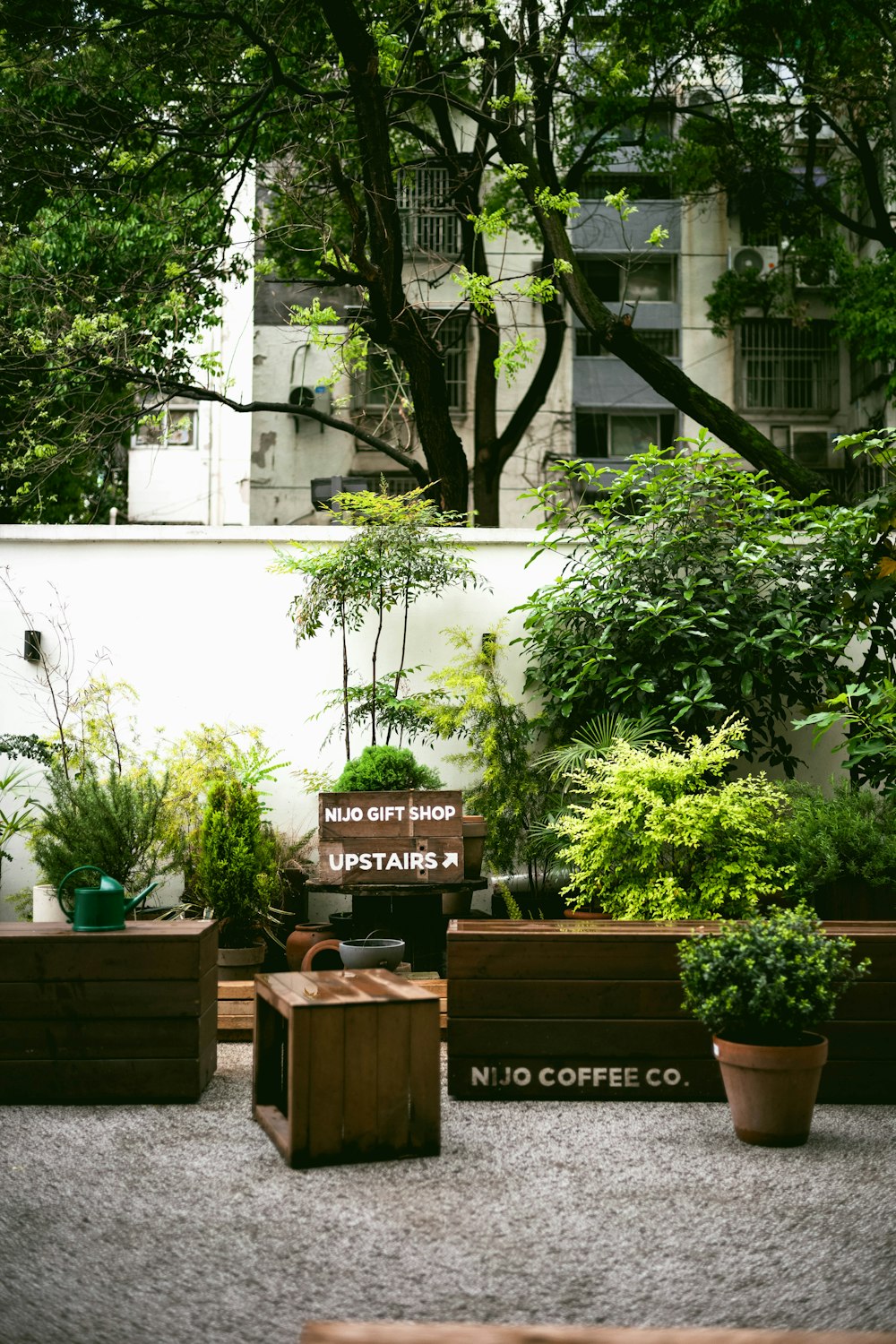 a group of potted plants in front of a building