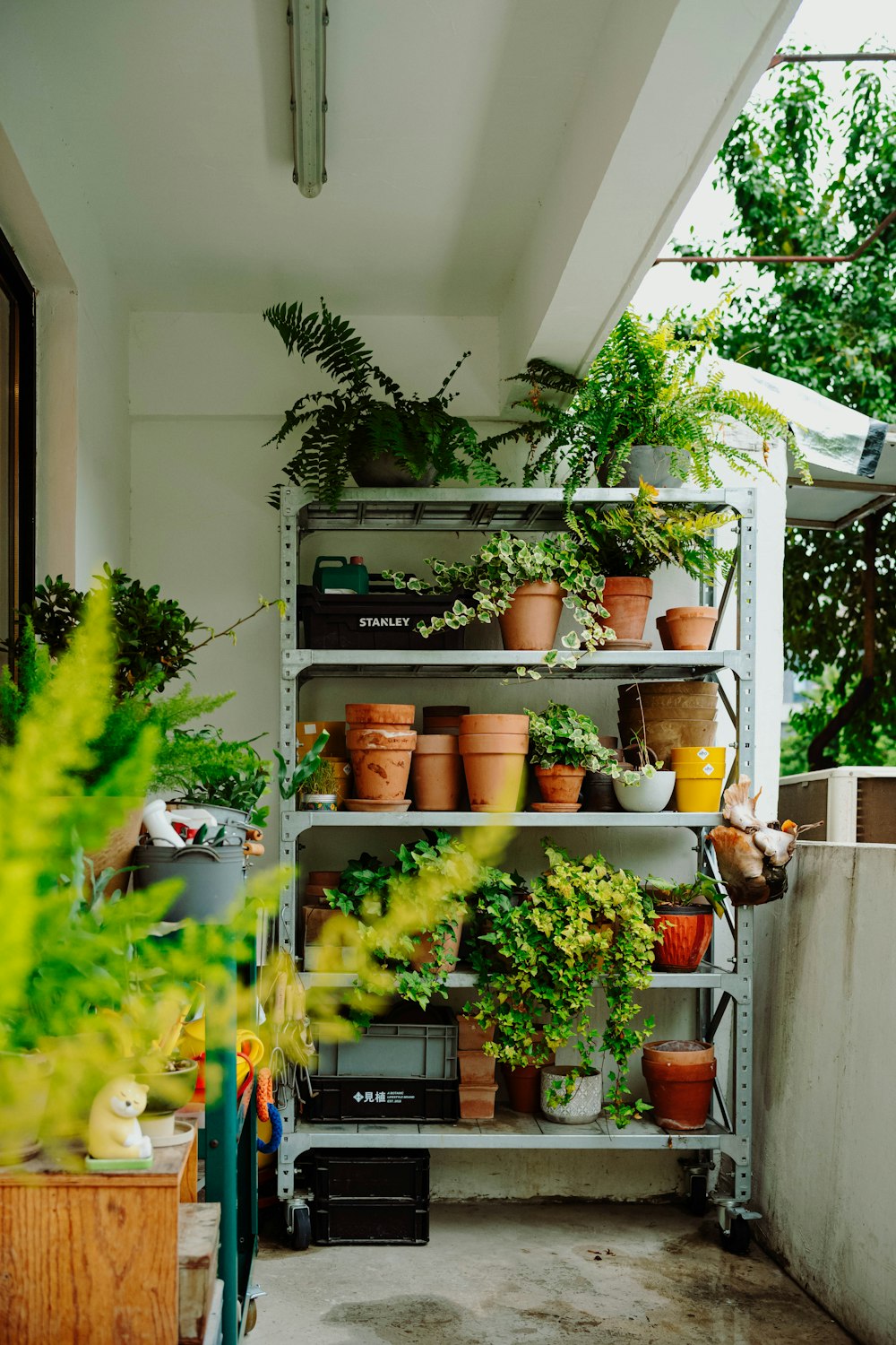 a shelf filled with lots of potted plants