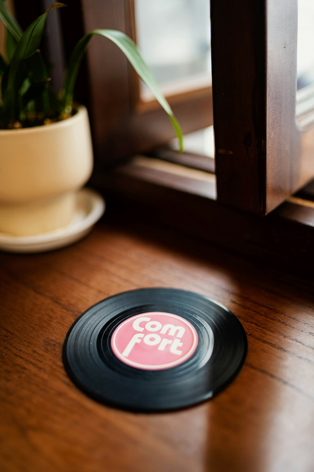 a record sitting on a table next to a potted plant