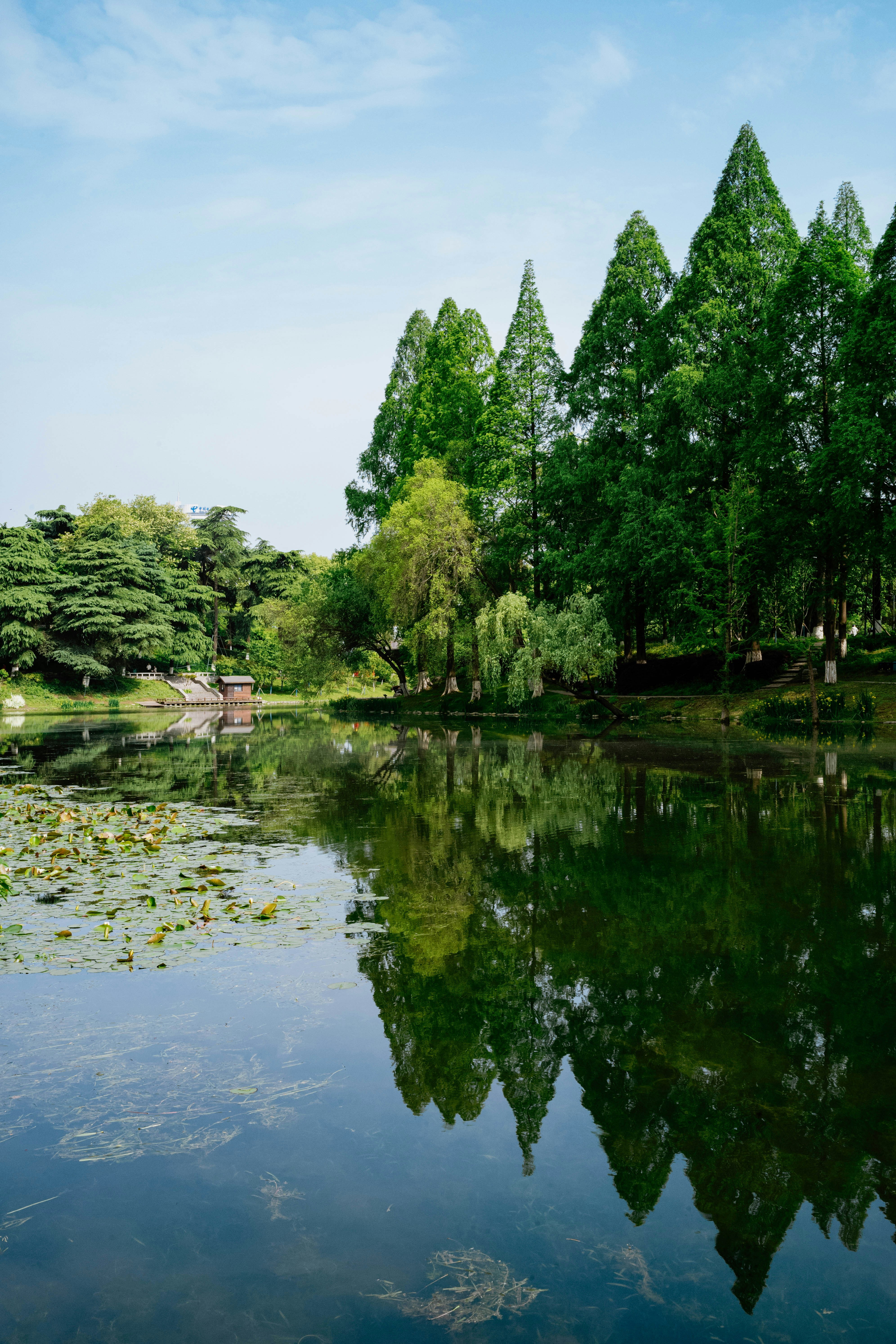 Photo by tommaomaoer