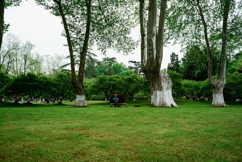 a person sitting on a bench in the middle of a park