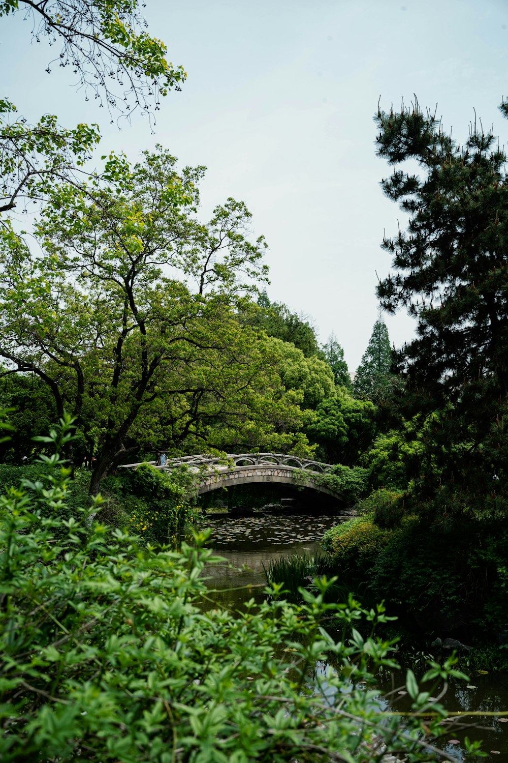 a stone bridge over a small stream in a forest