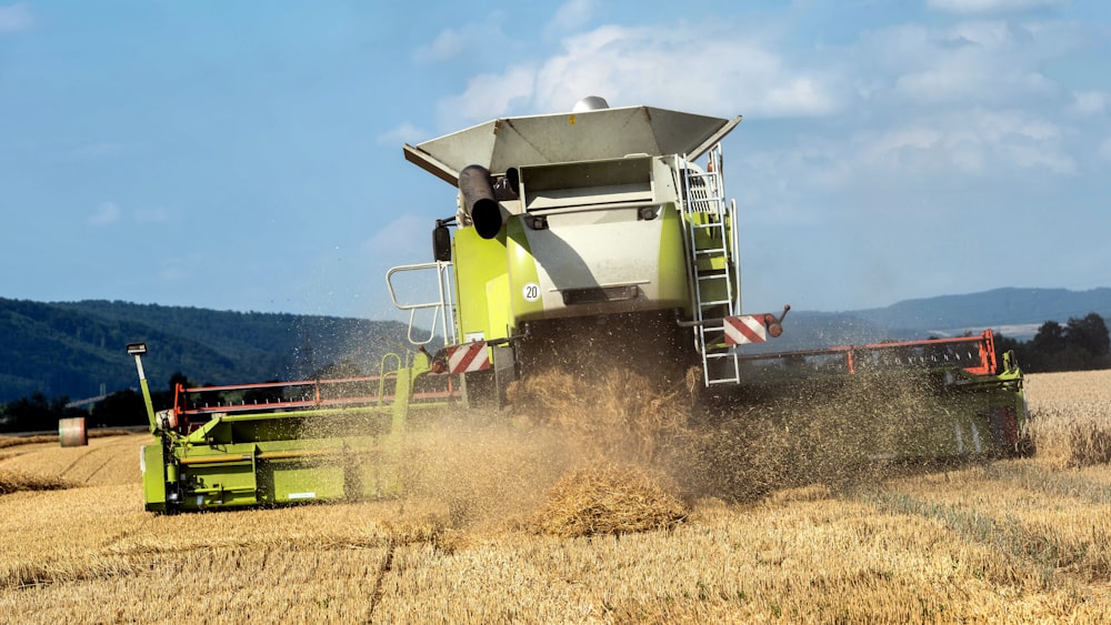 a combine of grain being harvested in a field