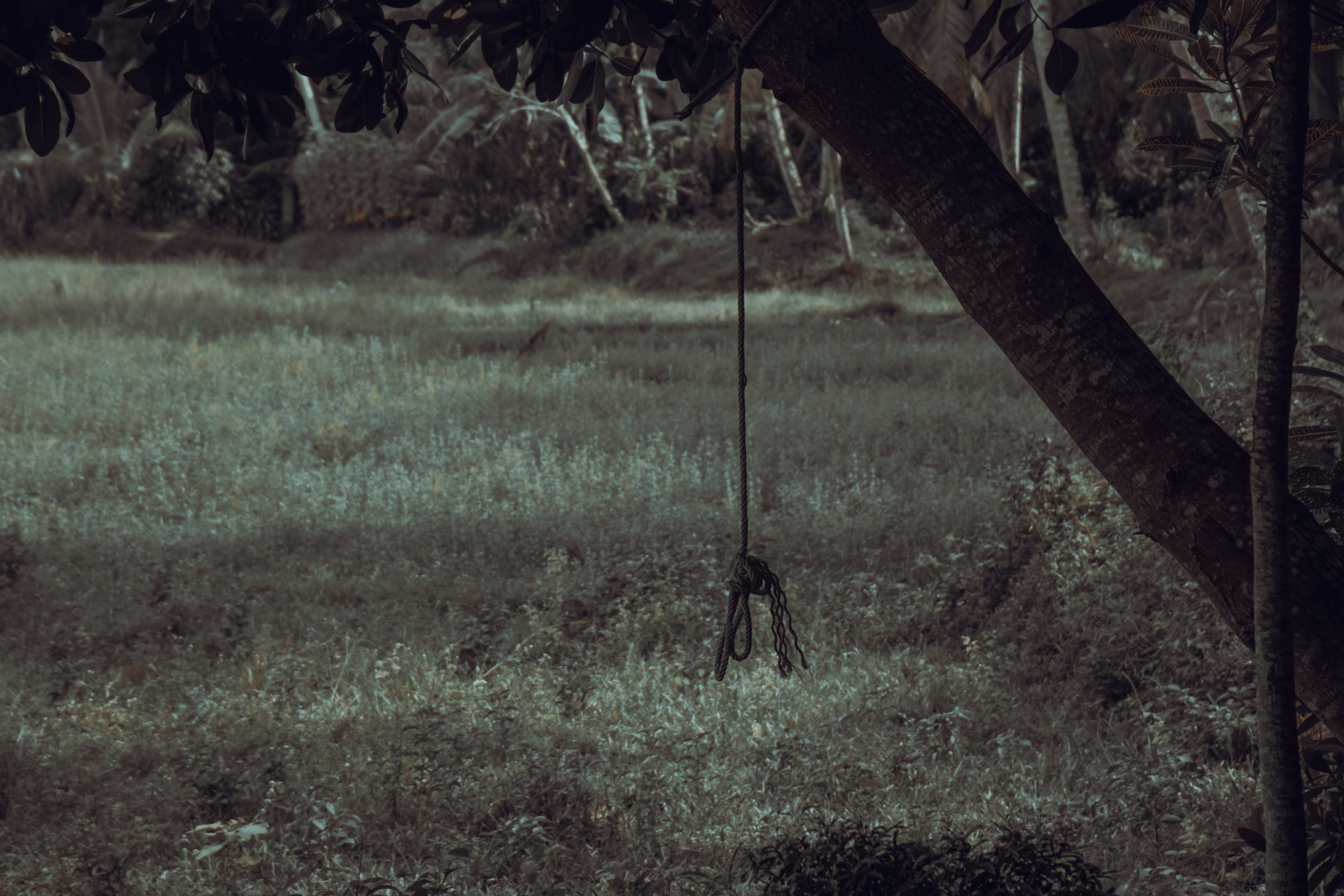 Photo by aseprendi12