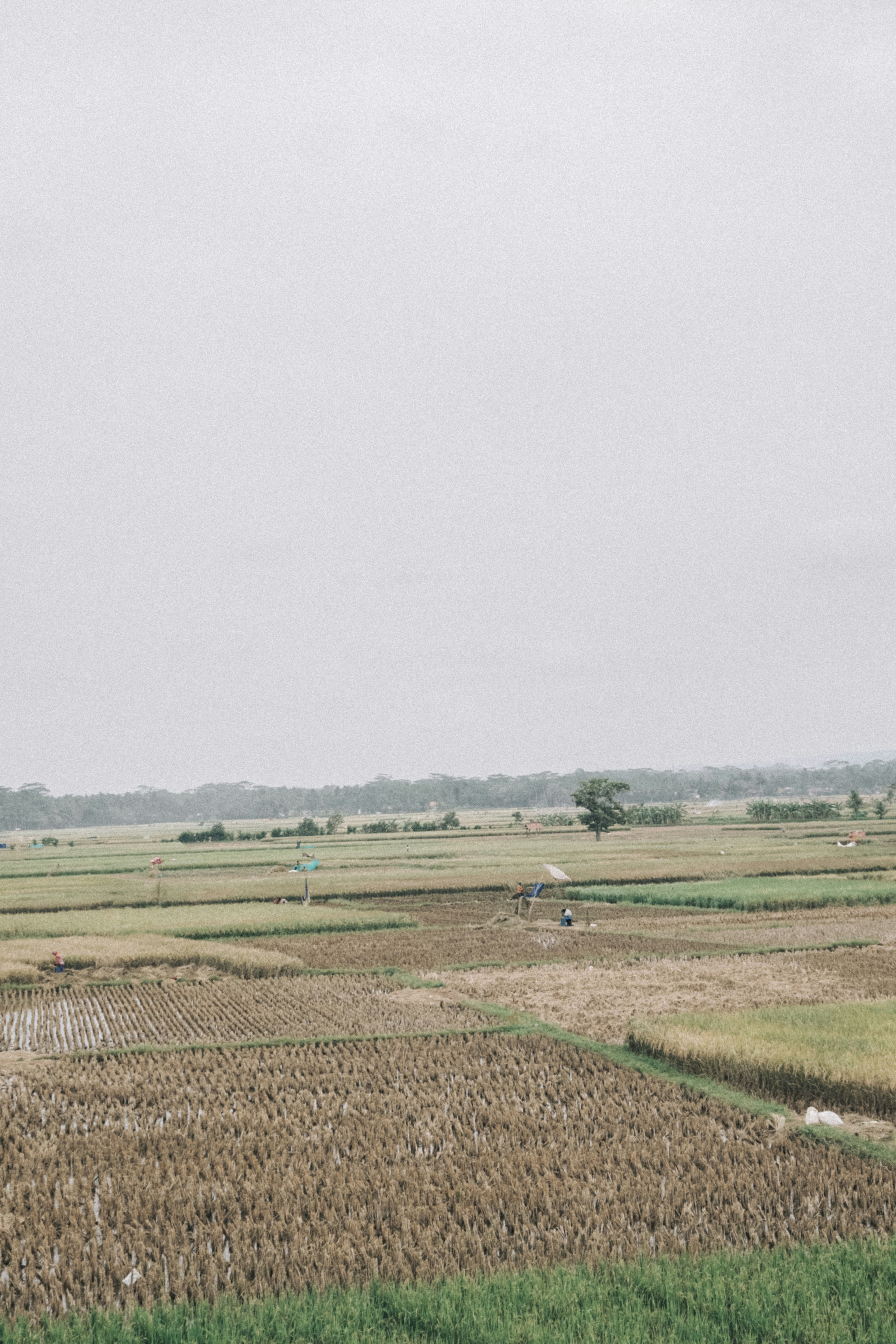 Photo by aseprendi12