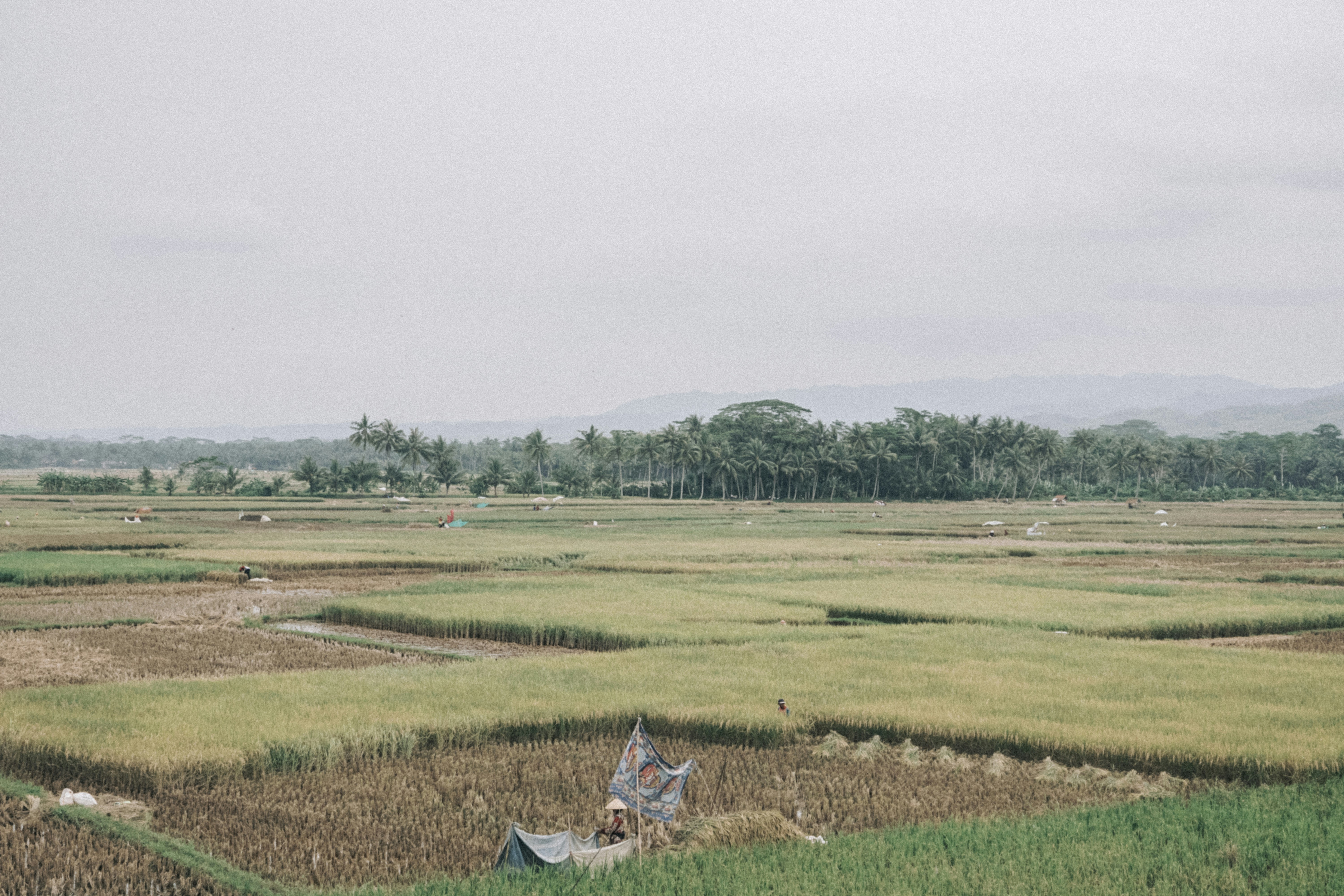 Photo by aseprendi12