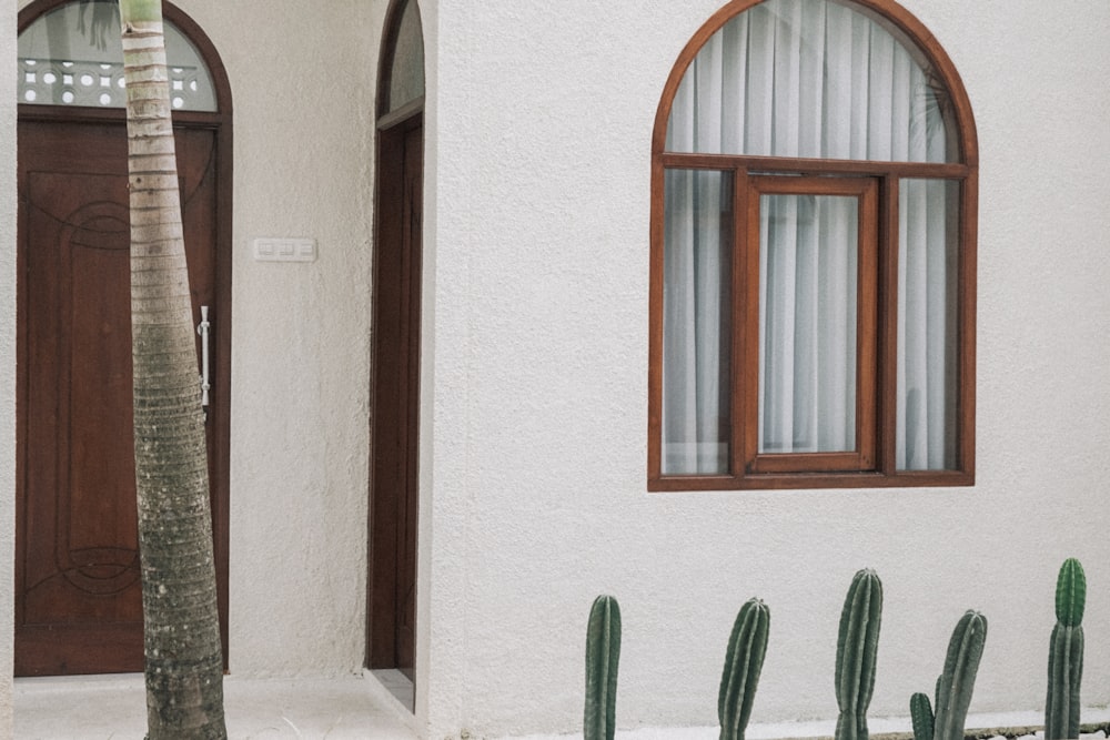 a house with a cactus in front of it