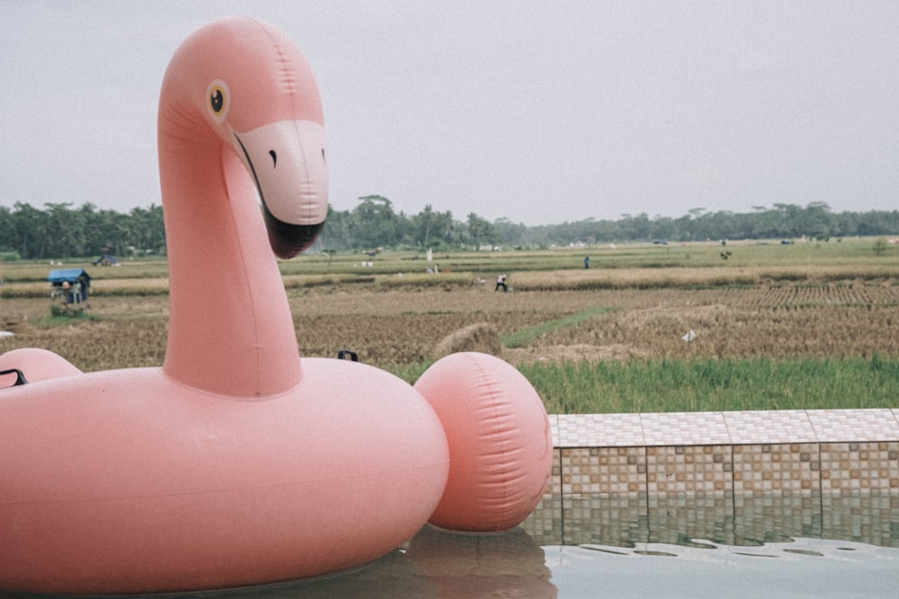 a large inflatable pink flamingo sitting on top of a pool