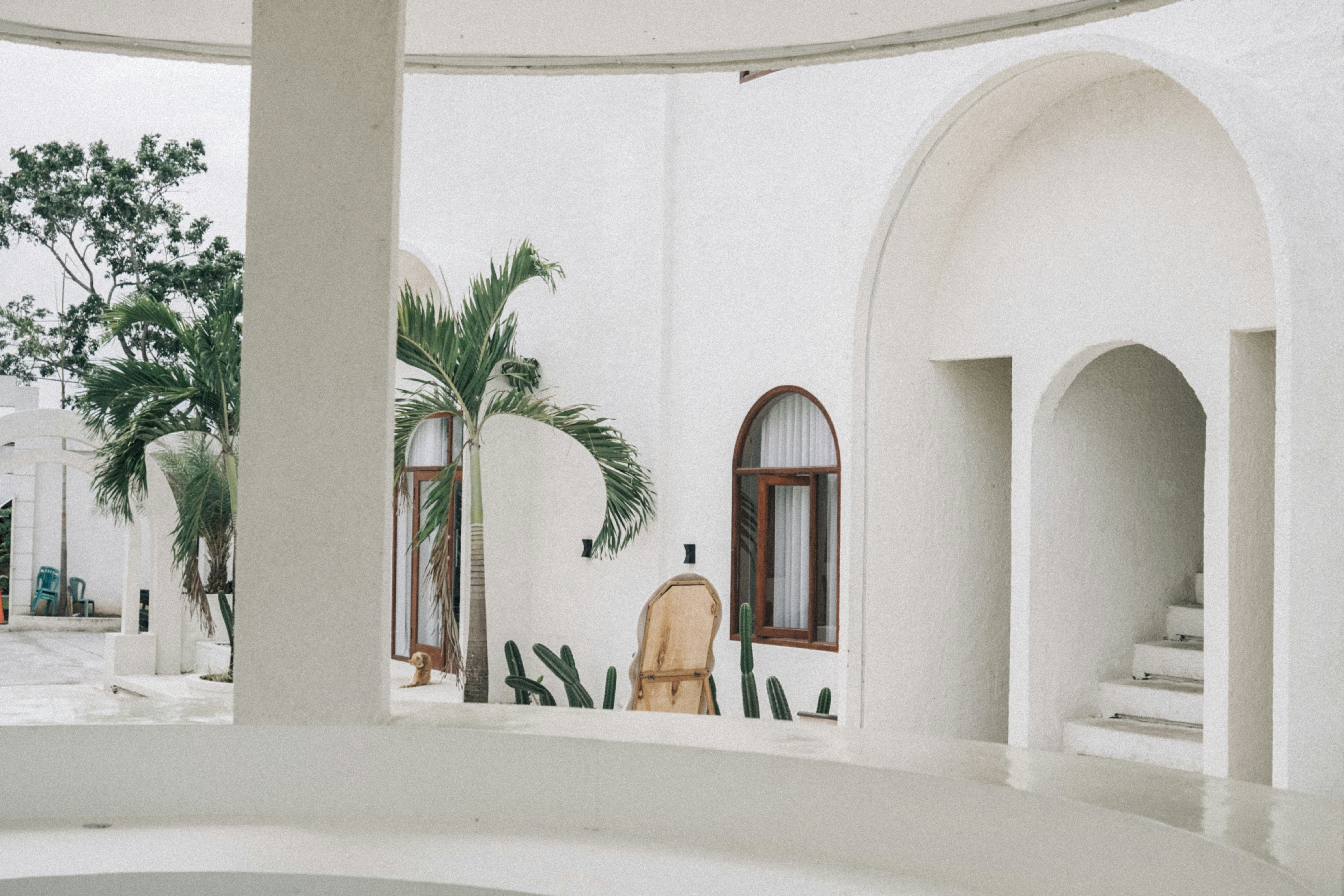 Photo by aseprendi12