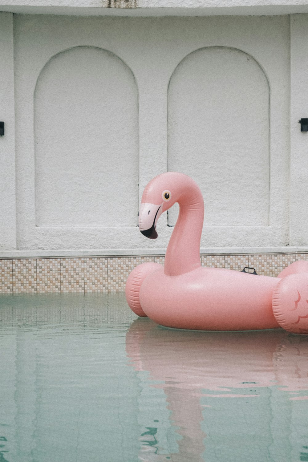 an inflatable pink flamingo floating in a pool