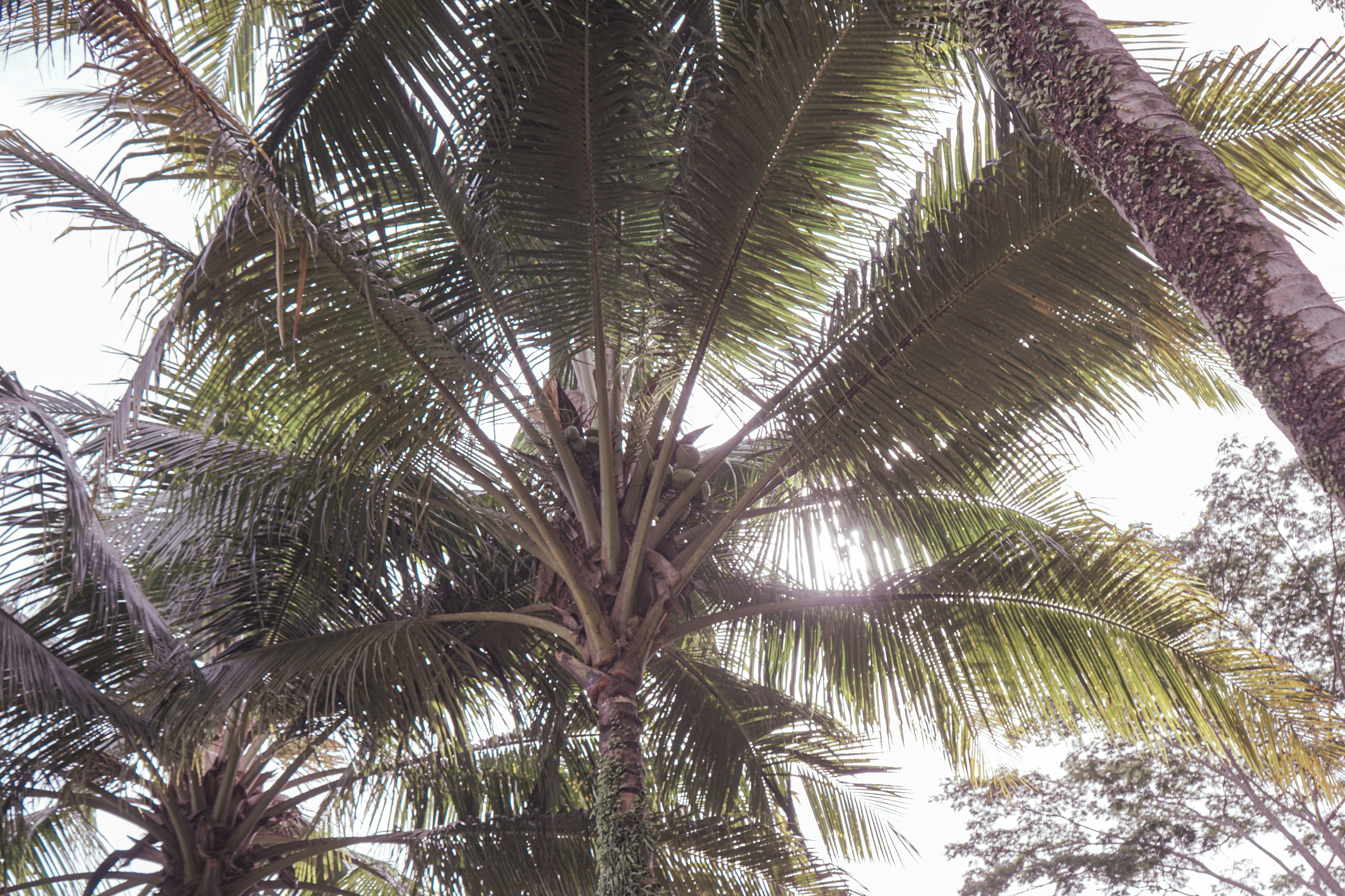 Photo by aseprendi12