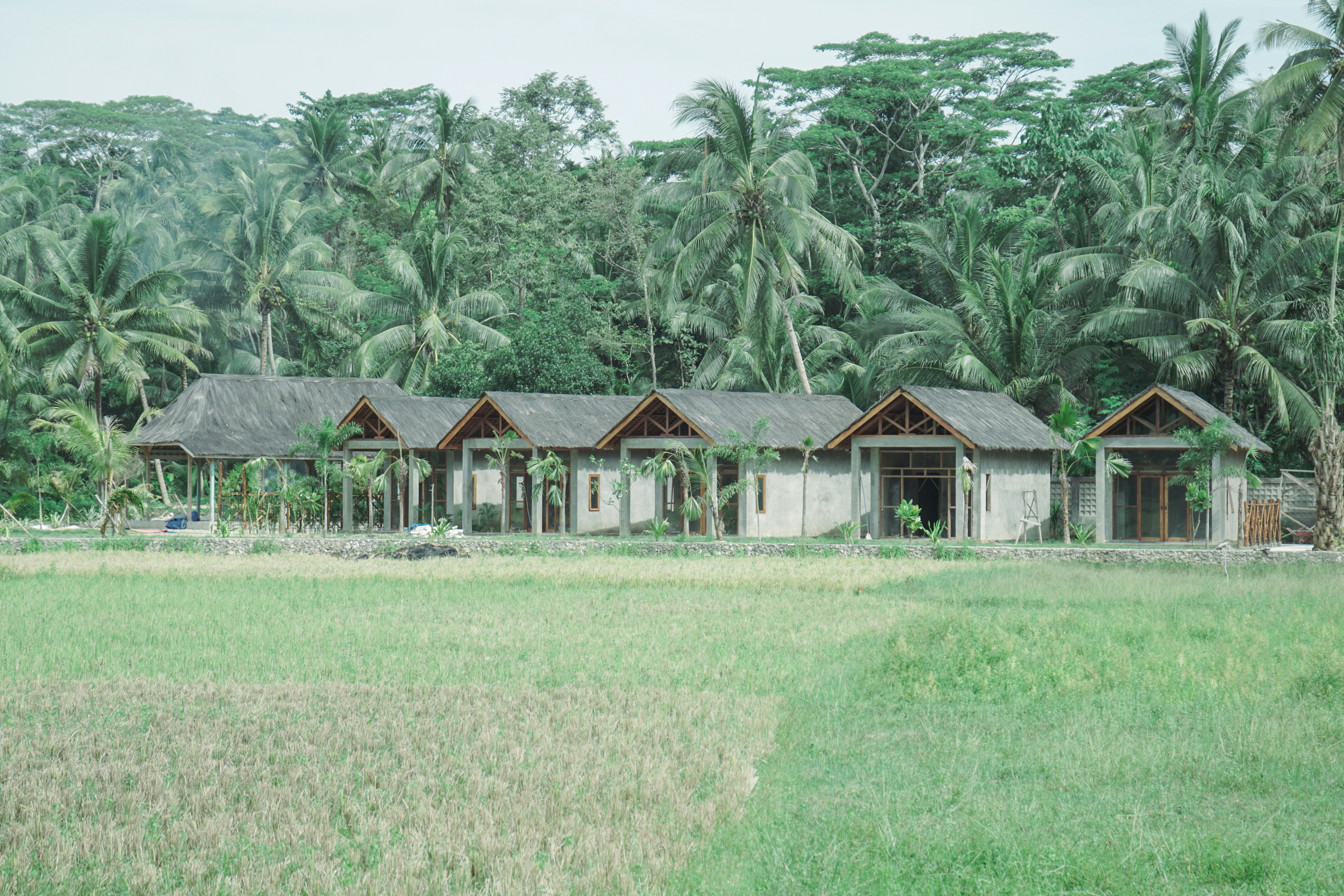 Photo by aseprendi12