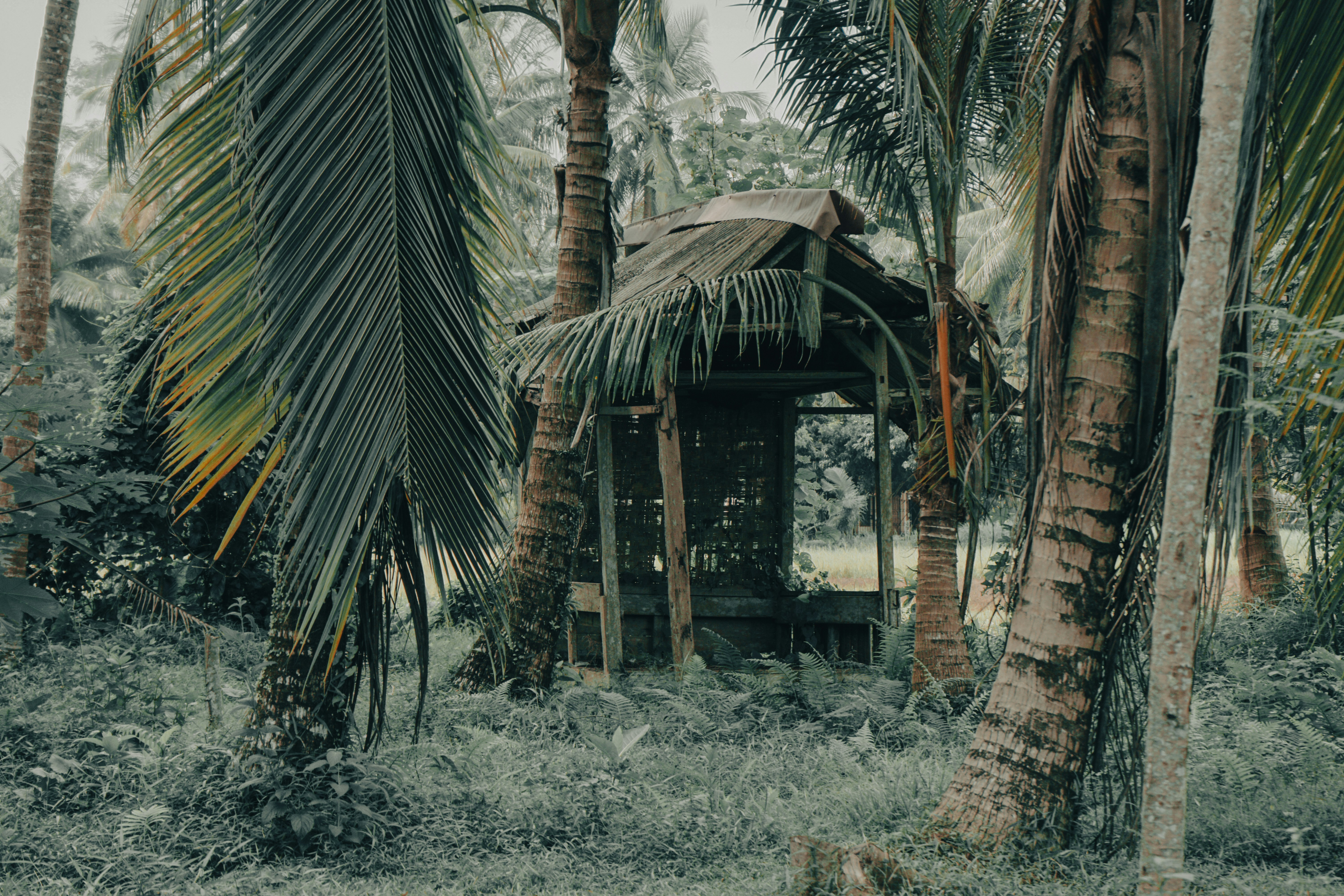 Photo by aseprendi12