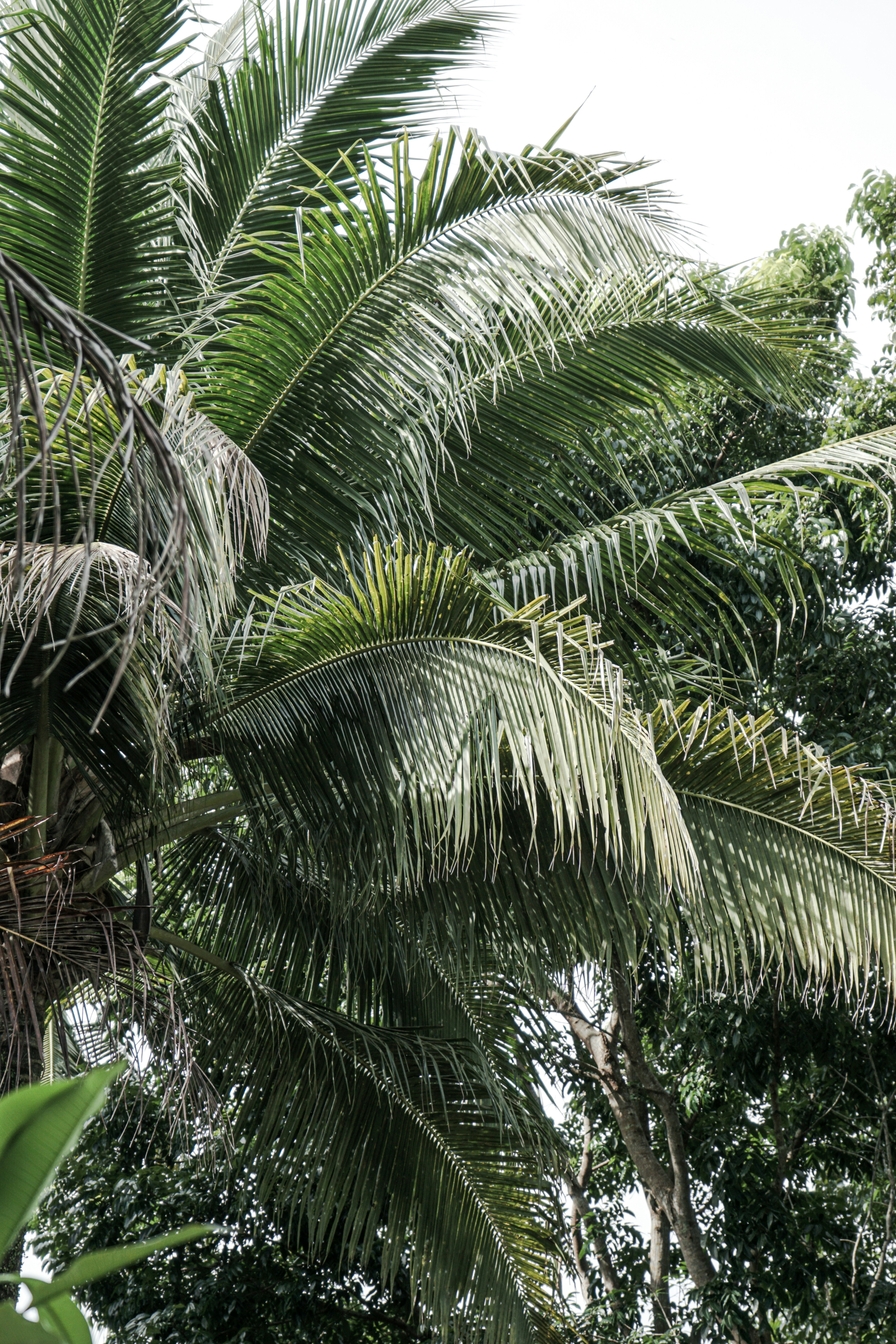 Photo by aseprendi12