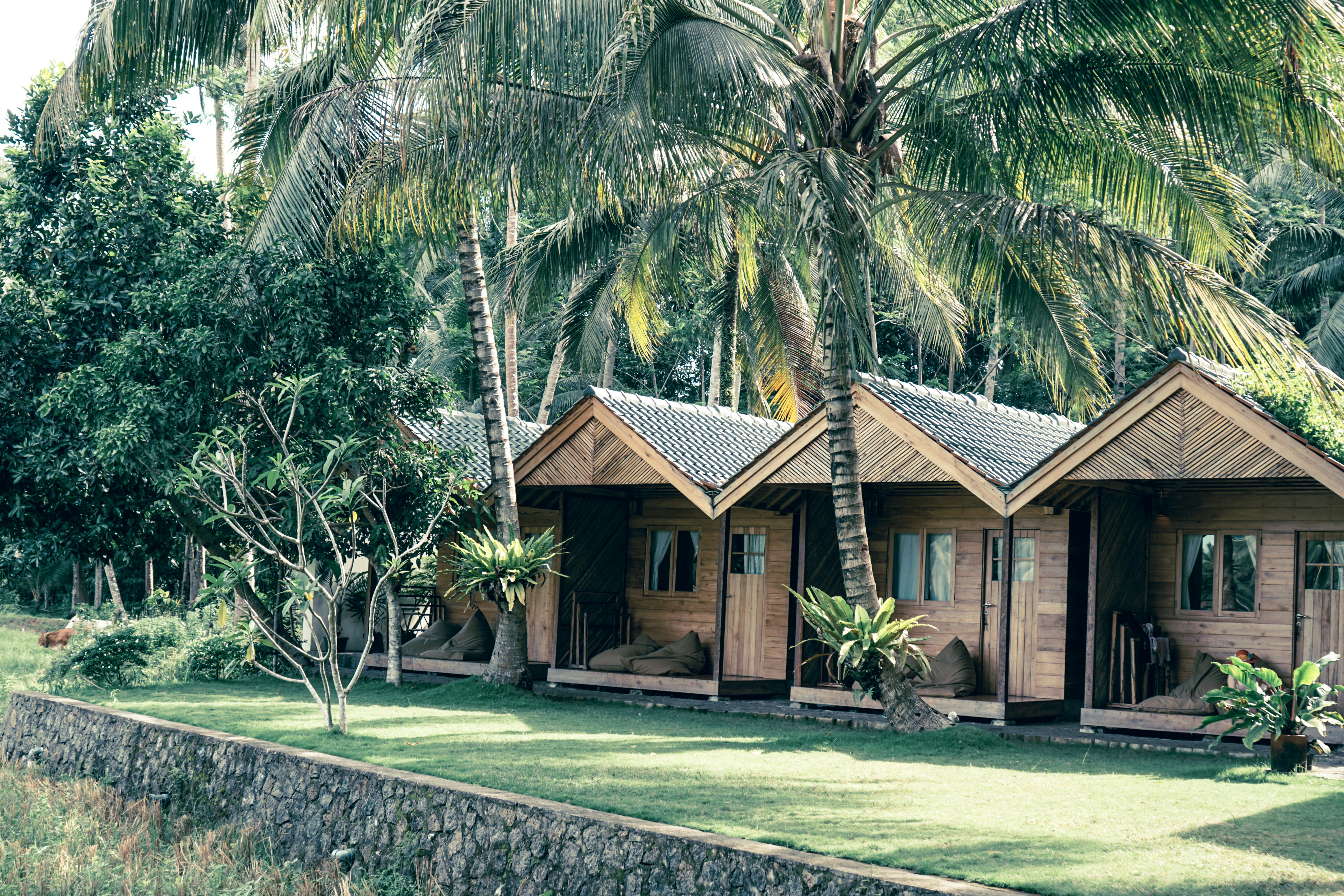 Photo by aseprendi12