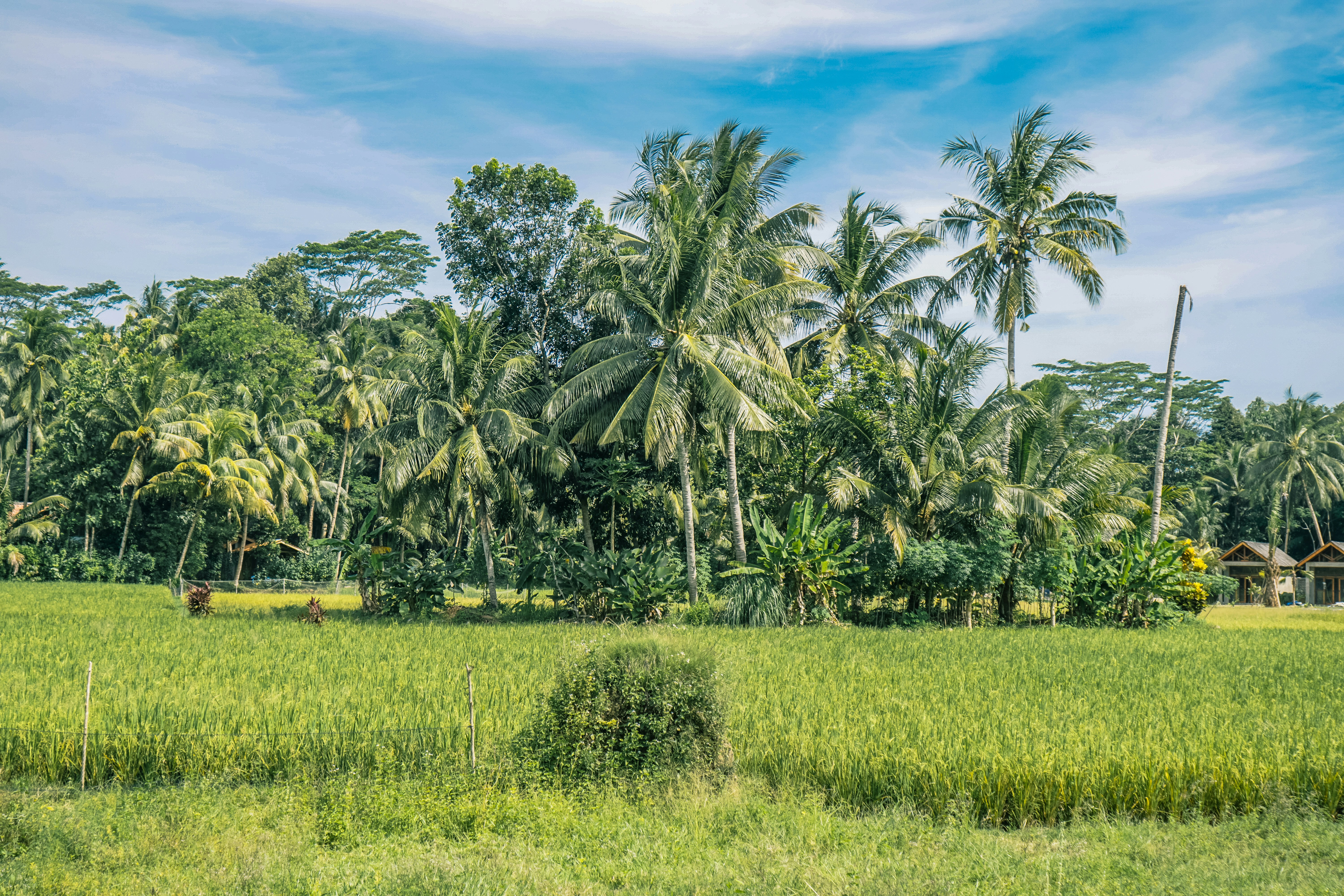 Photo by aseprendi12