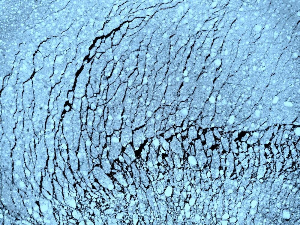  a close up view of the surface of a body of water