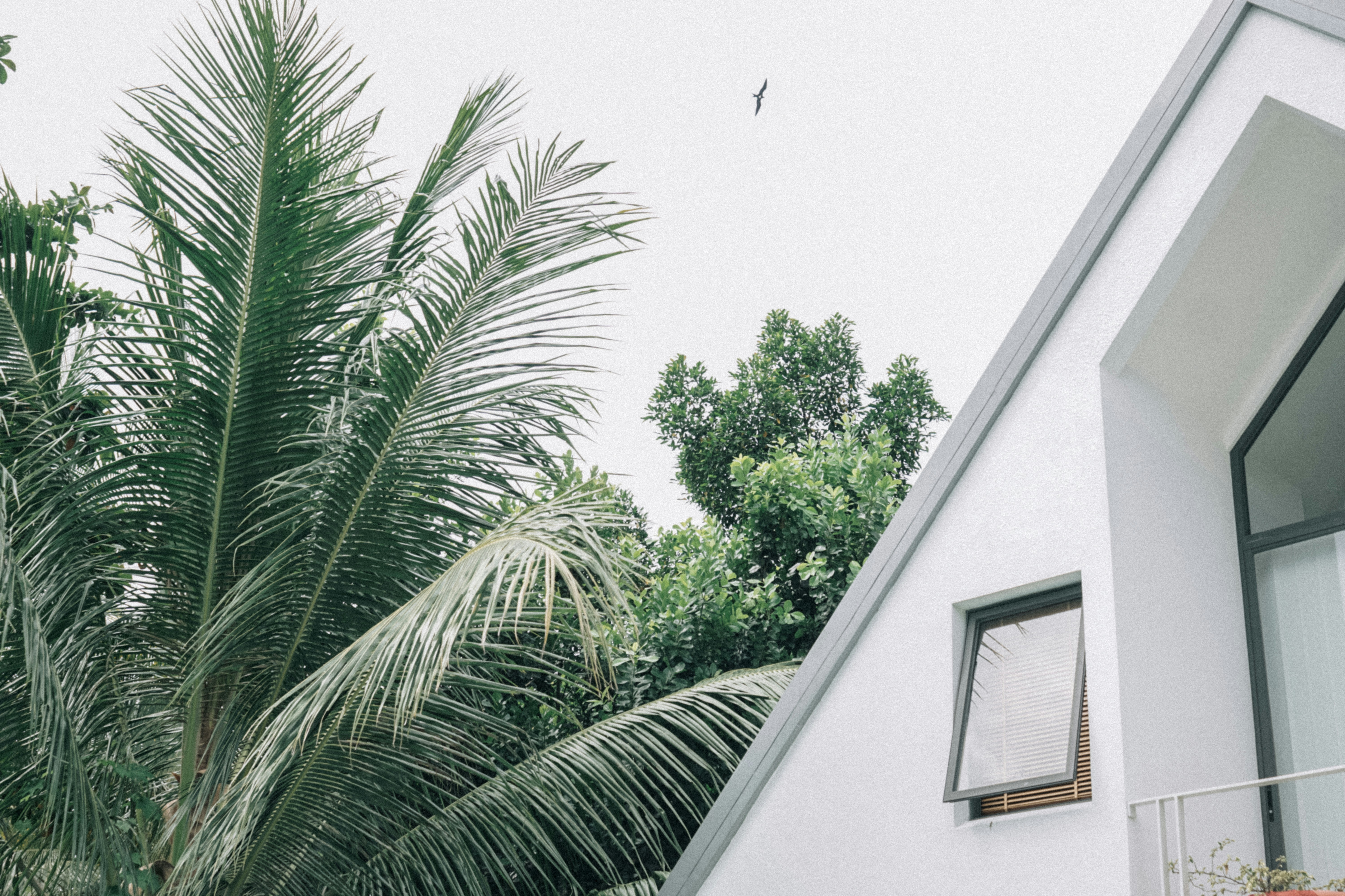 Photo by aseprendi12