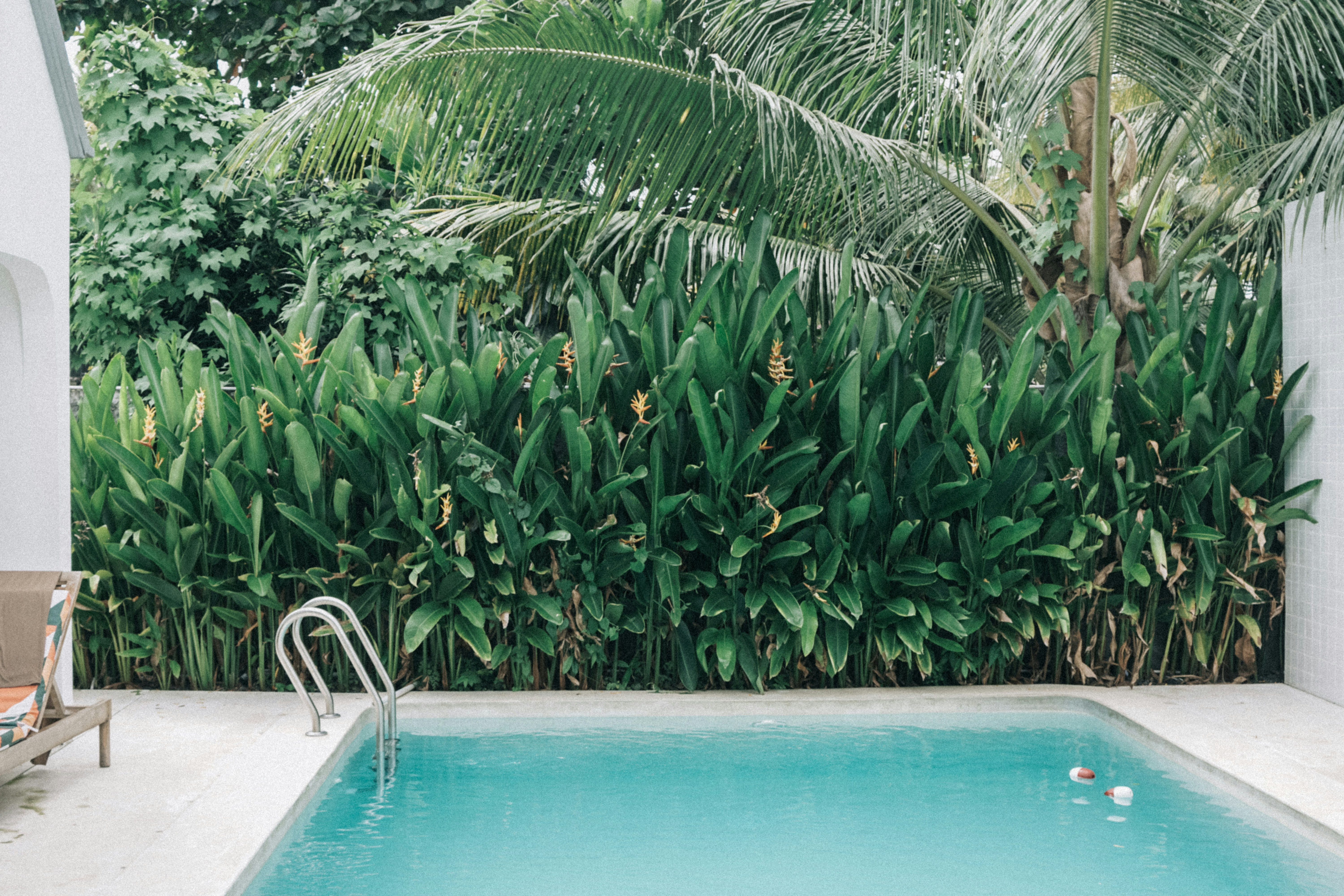 Photo by aseprendi12