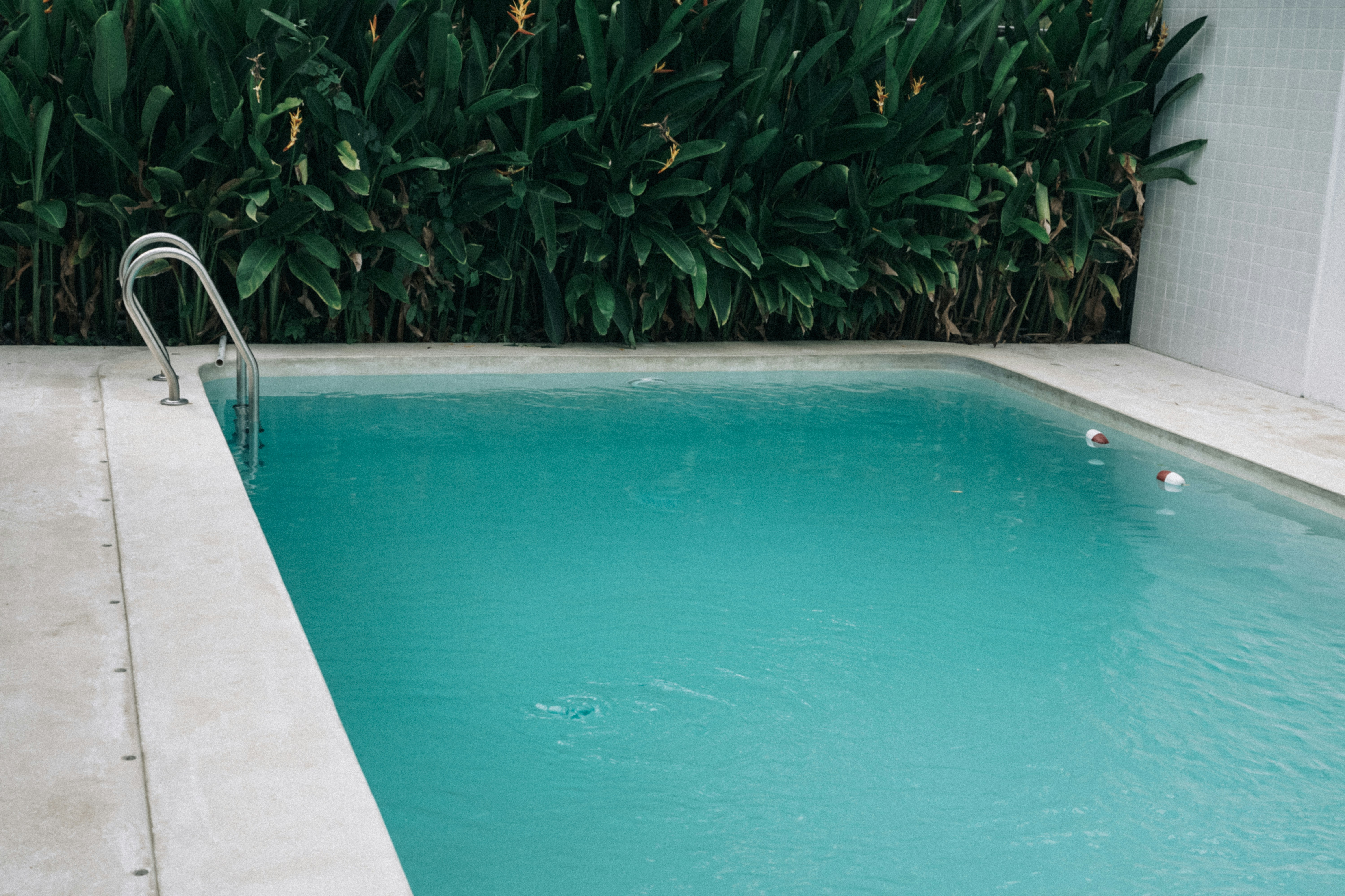 Photo by aseprendi12