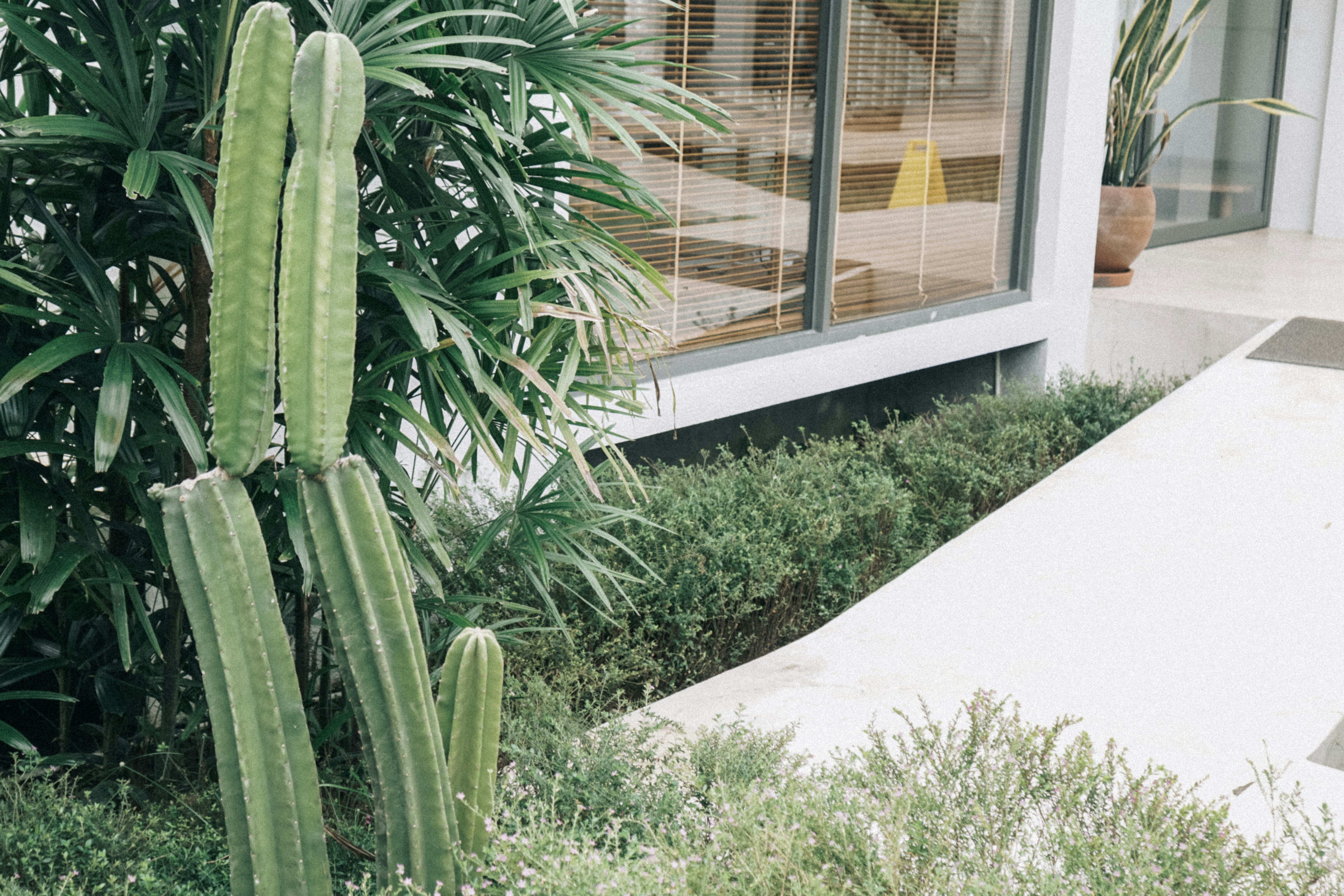 Photo by aseprendi12