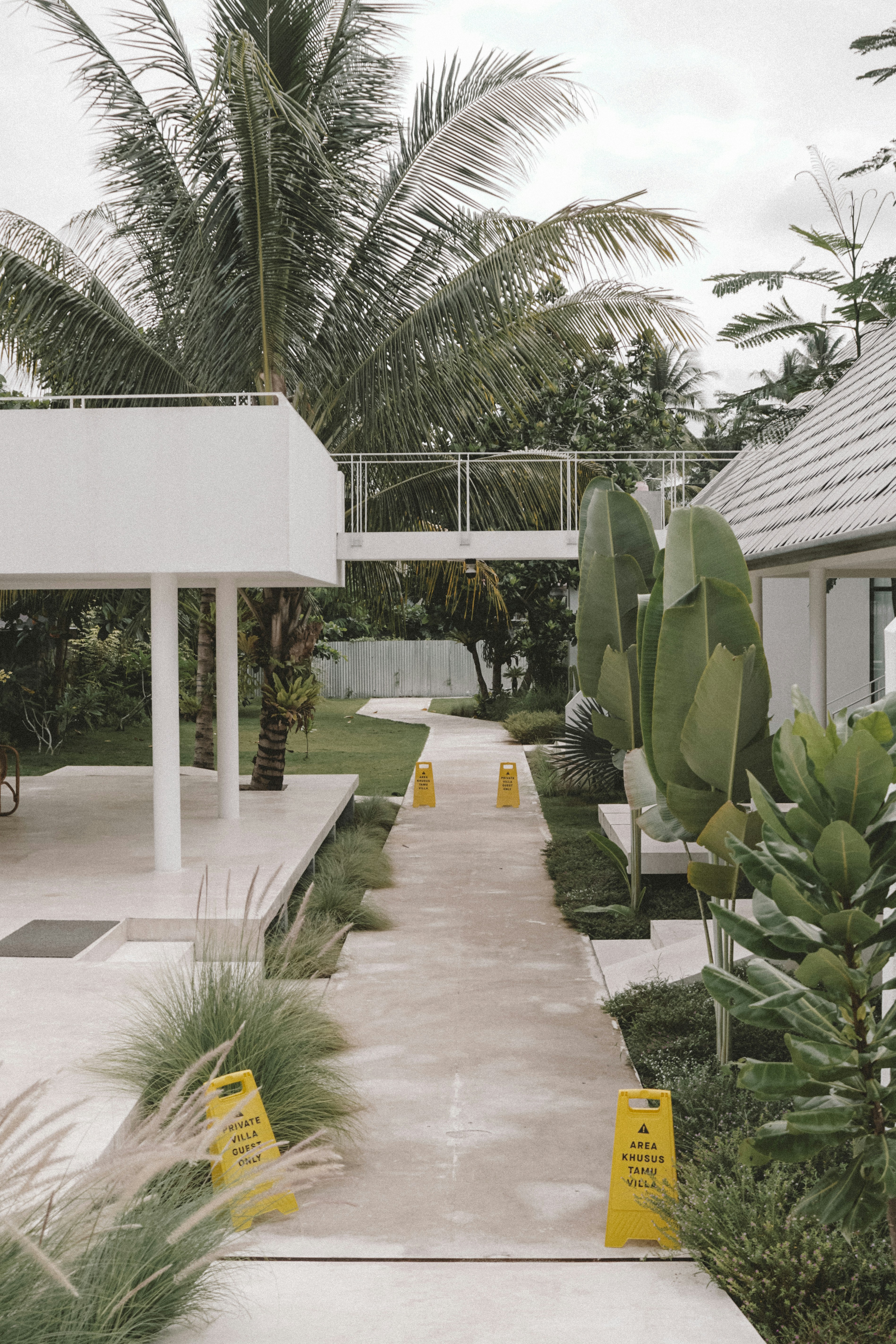 Photo by aseprendi12