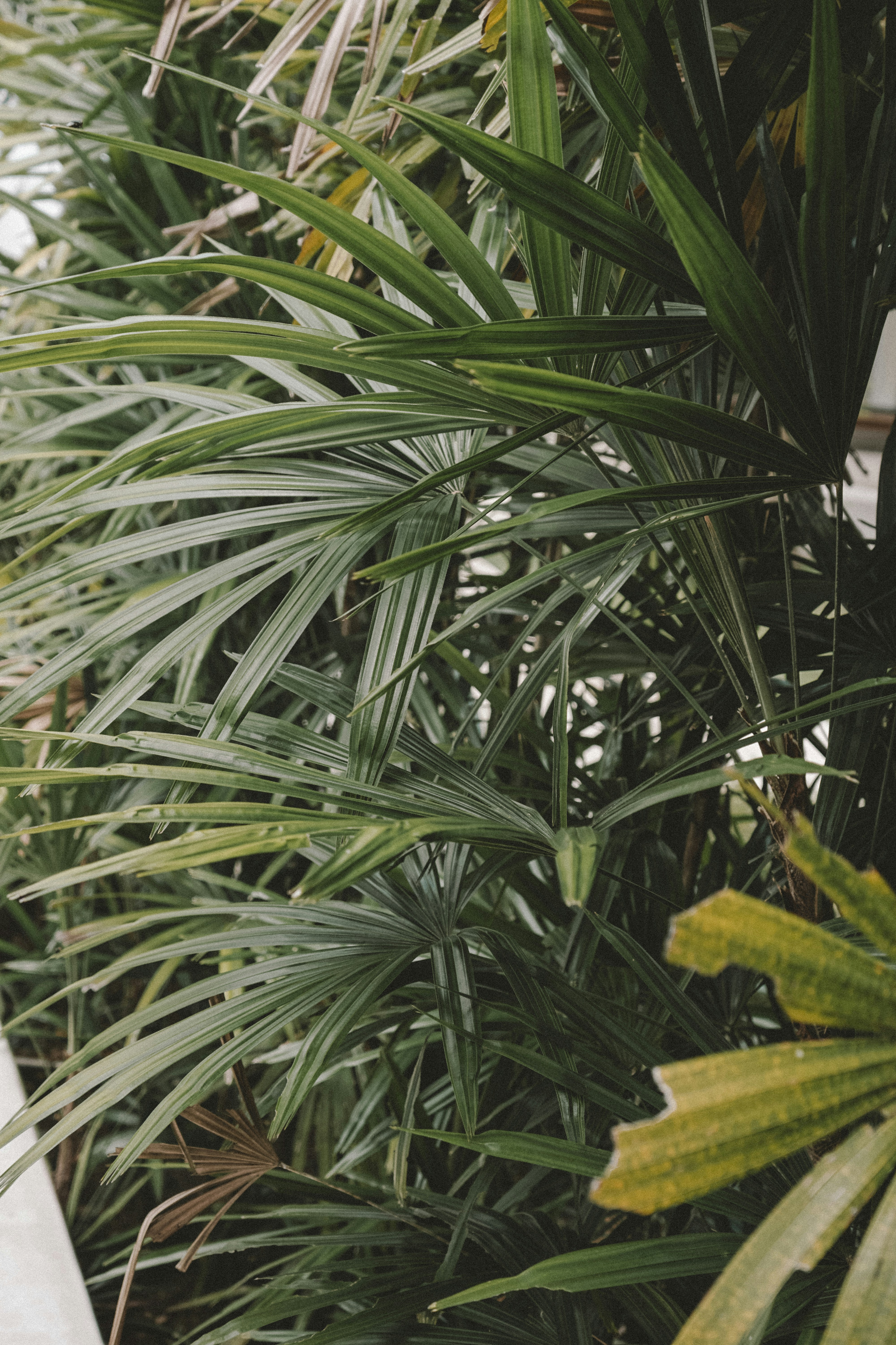 Photo by aseprendi12