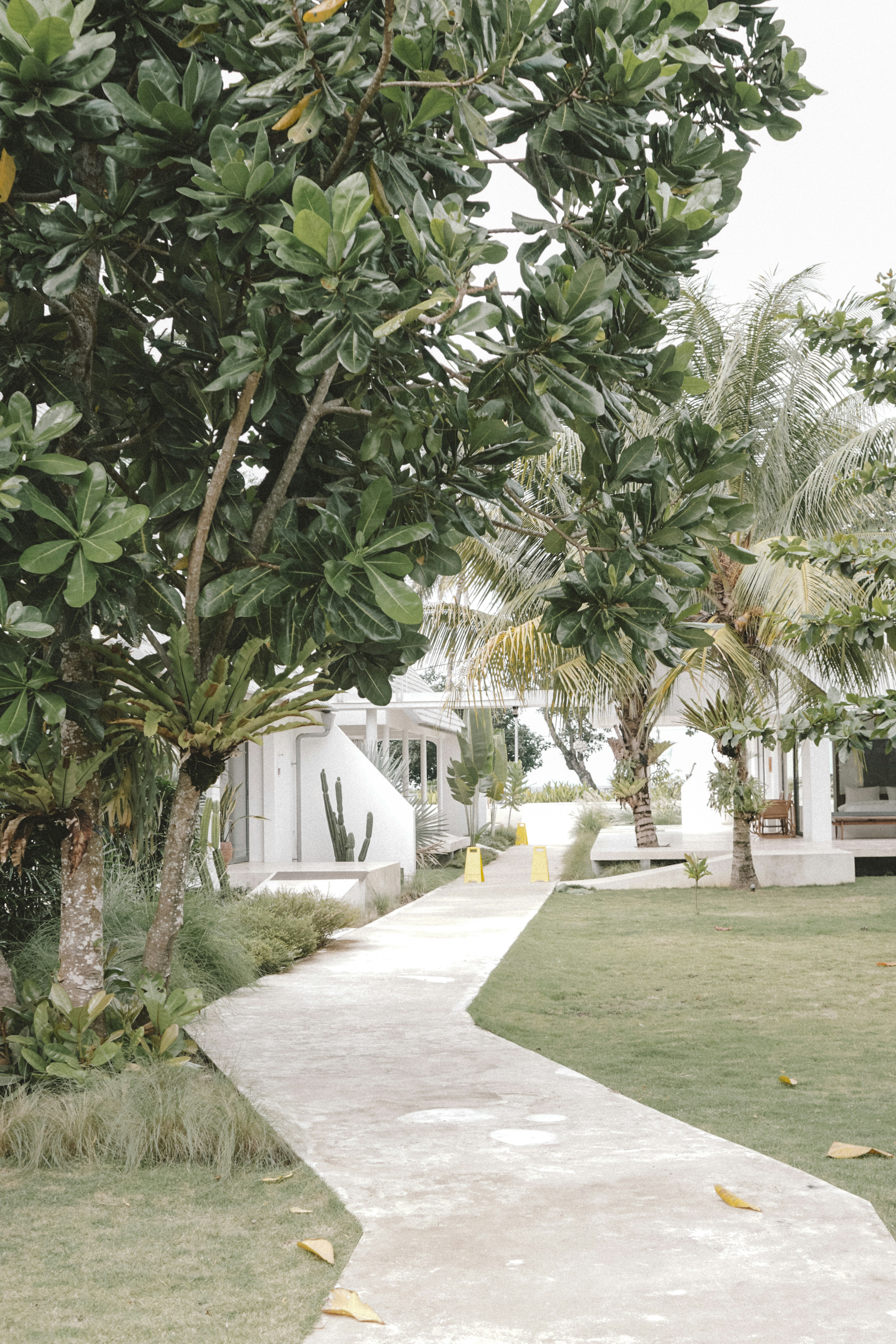 Photo by aseprendi12